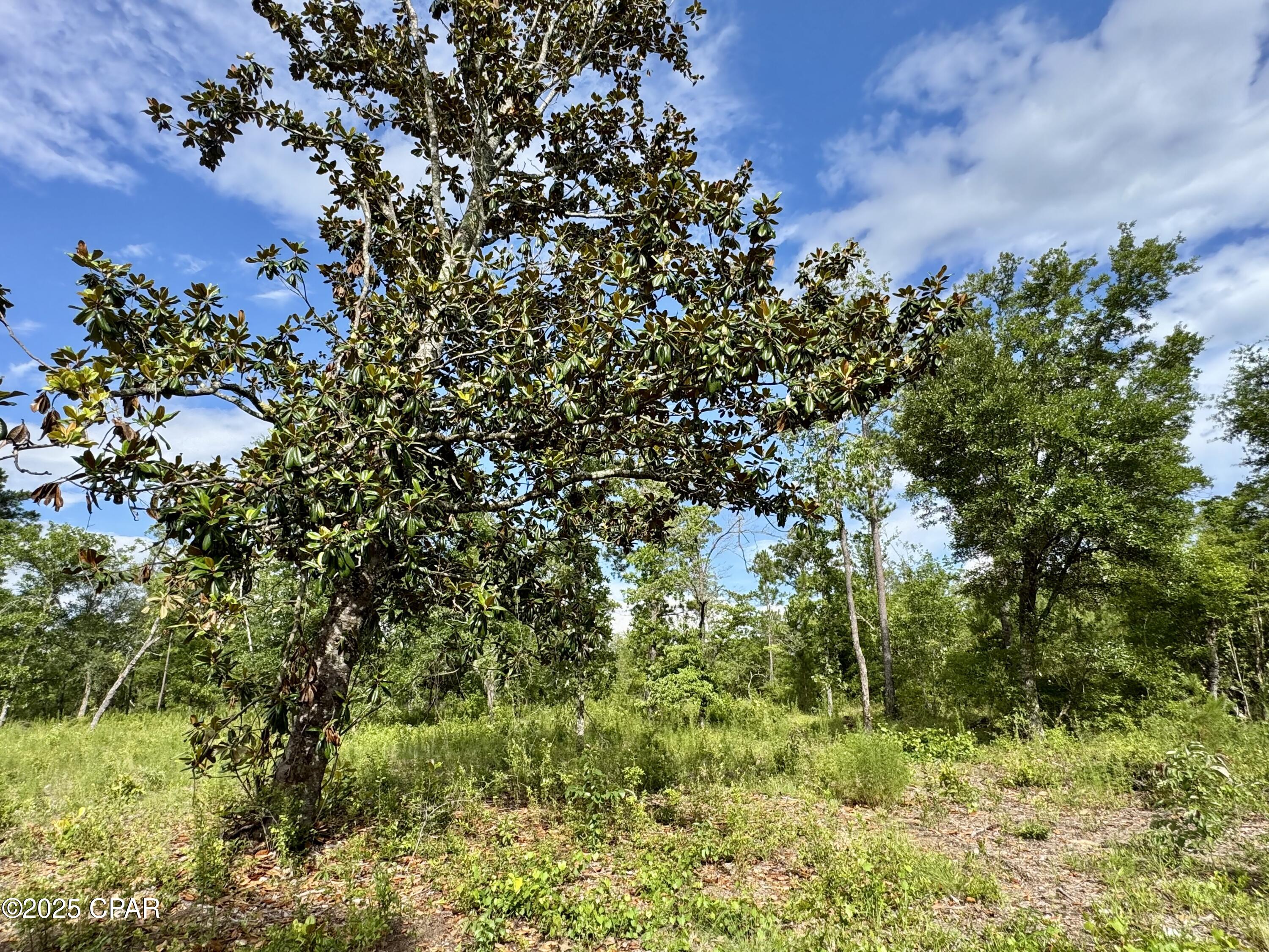 Image 11 For 0 Baker Avenue