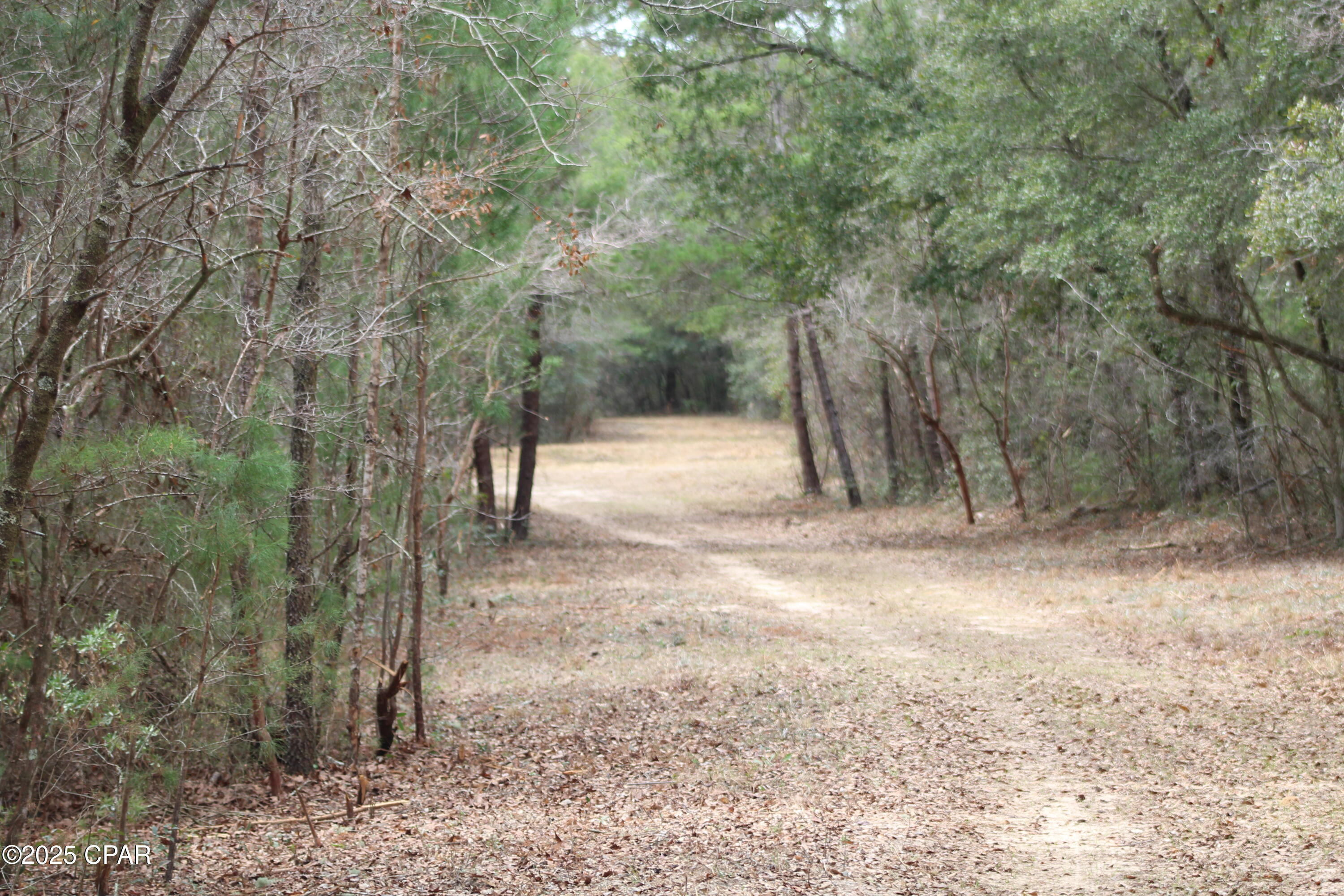 Image 11 For Lot 16 Bent Oaks Road