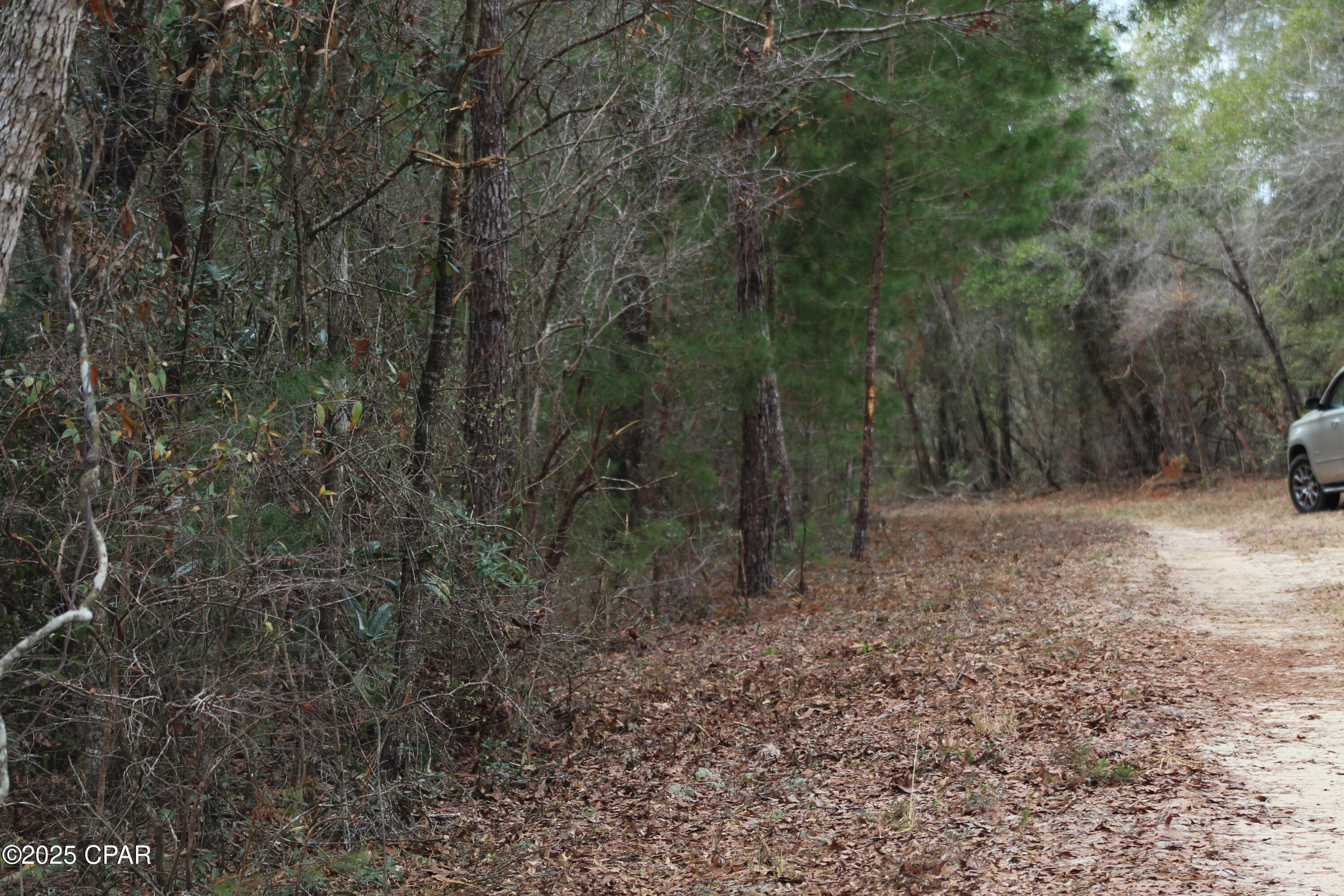 Image 12 For Lot 16 Bent Oaks Road