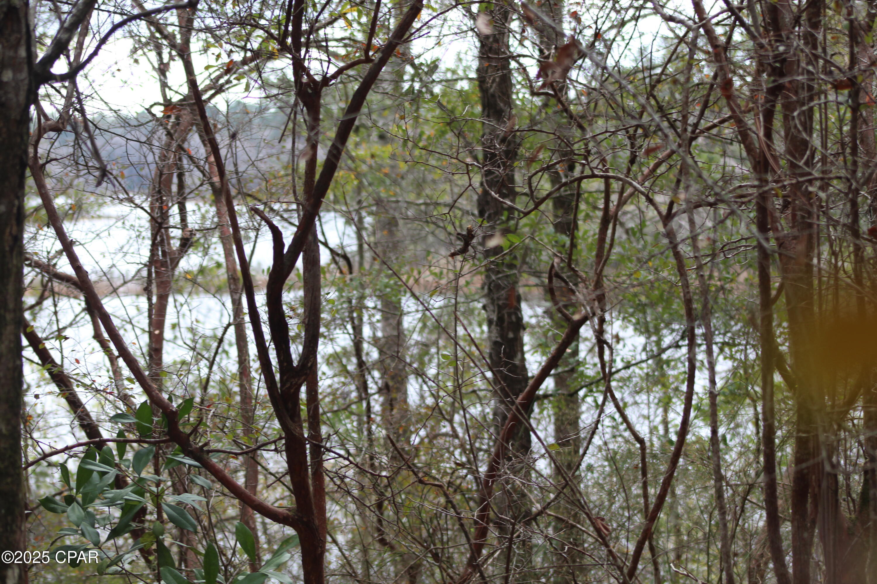 Image 15 For Lot 16 Bent Oaks Road