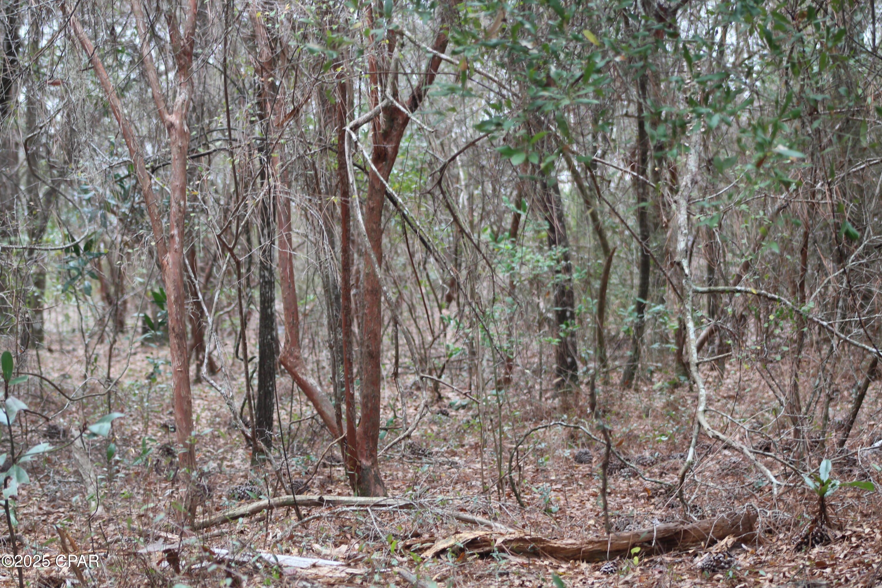 Image 17 For Lot 16 Bent Oaks Road