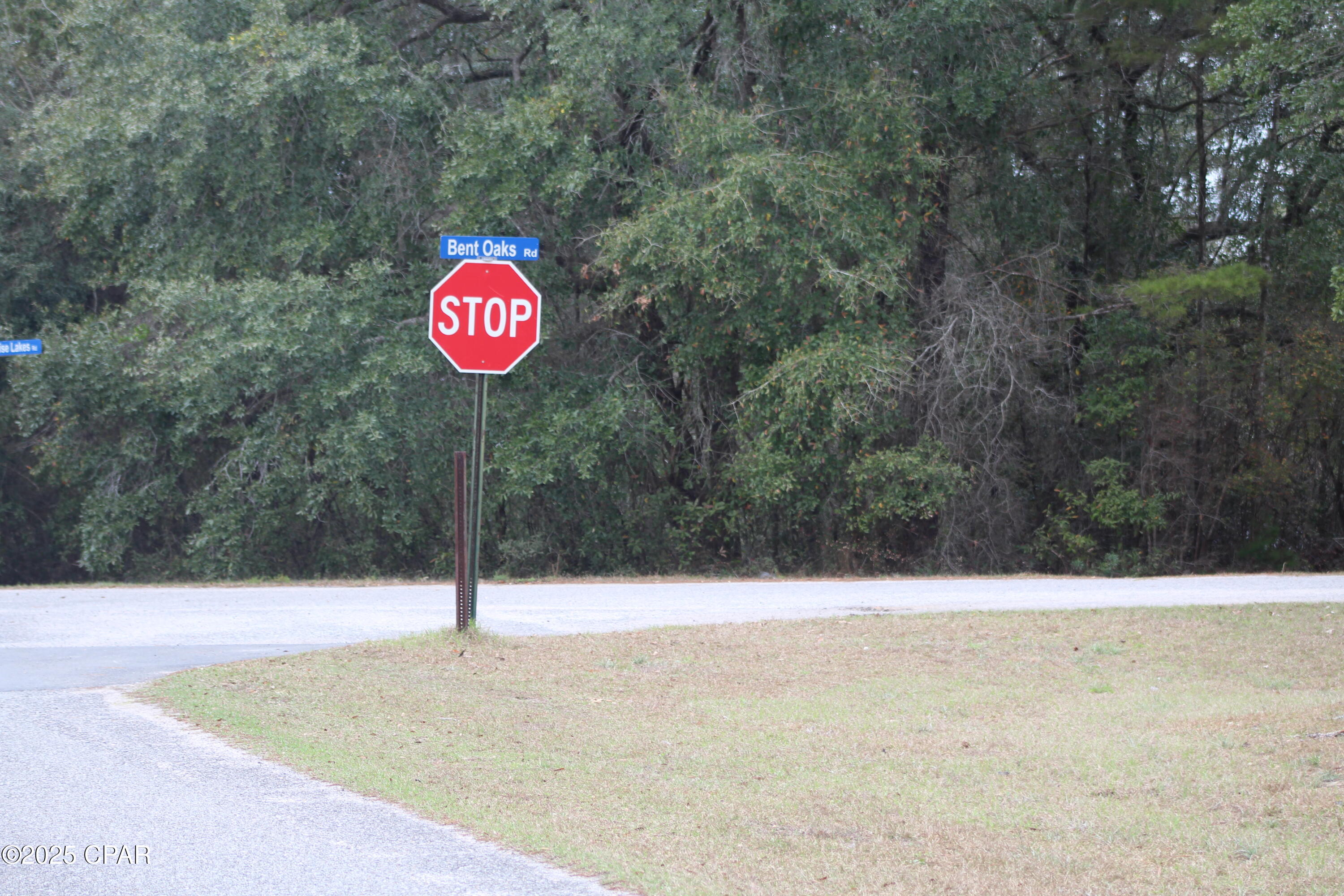 Image 6 For Lot 16 Bent Oaks Road