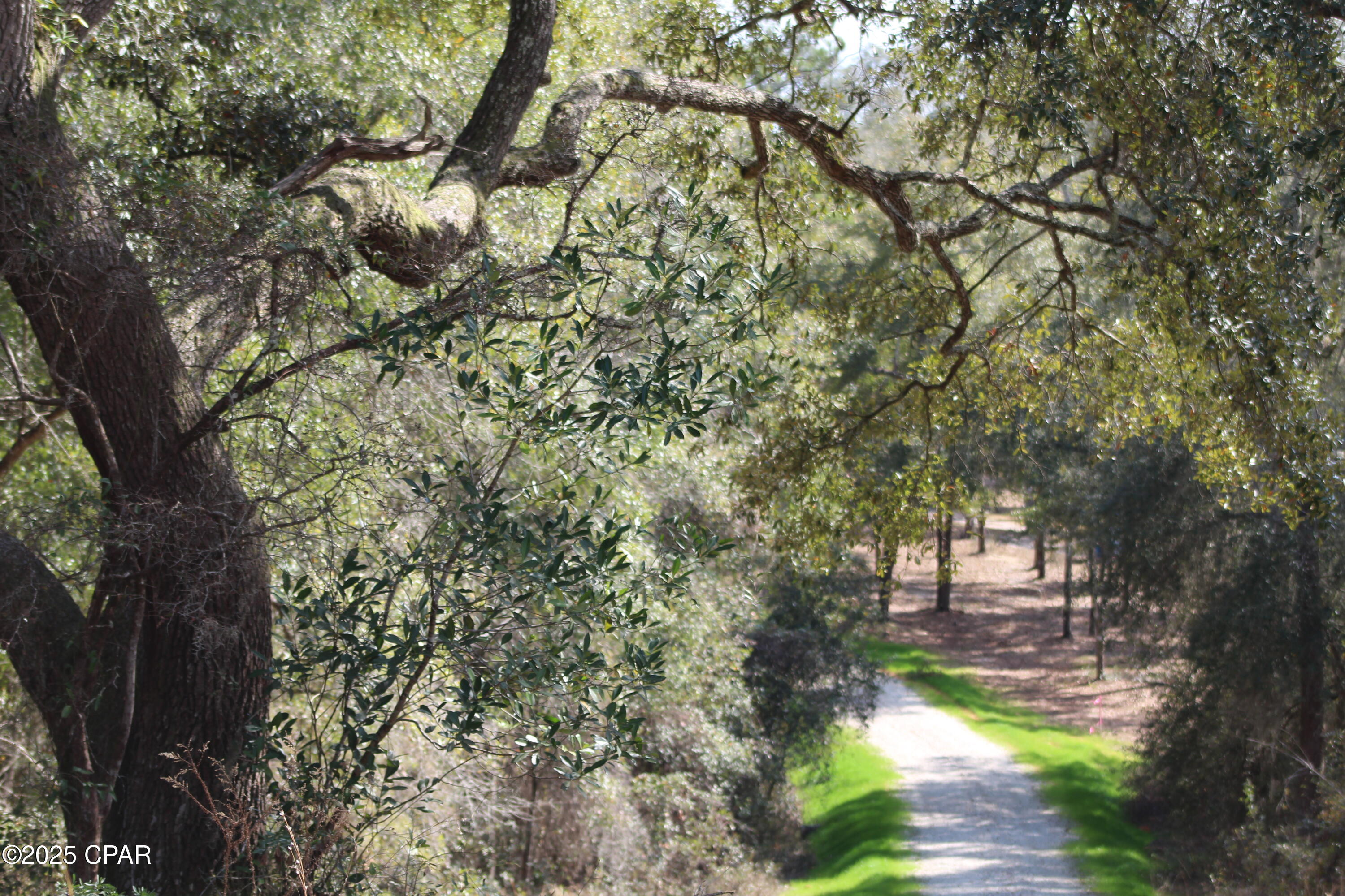 Image 7 For Lot 16 Bent Oaks Road