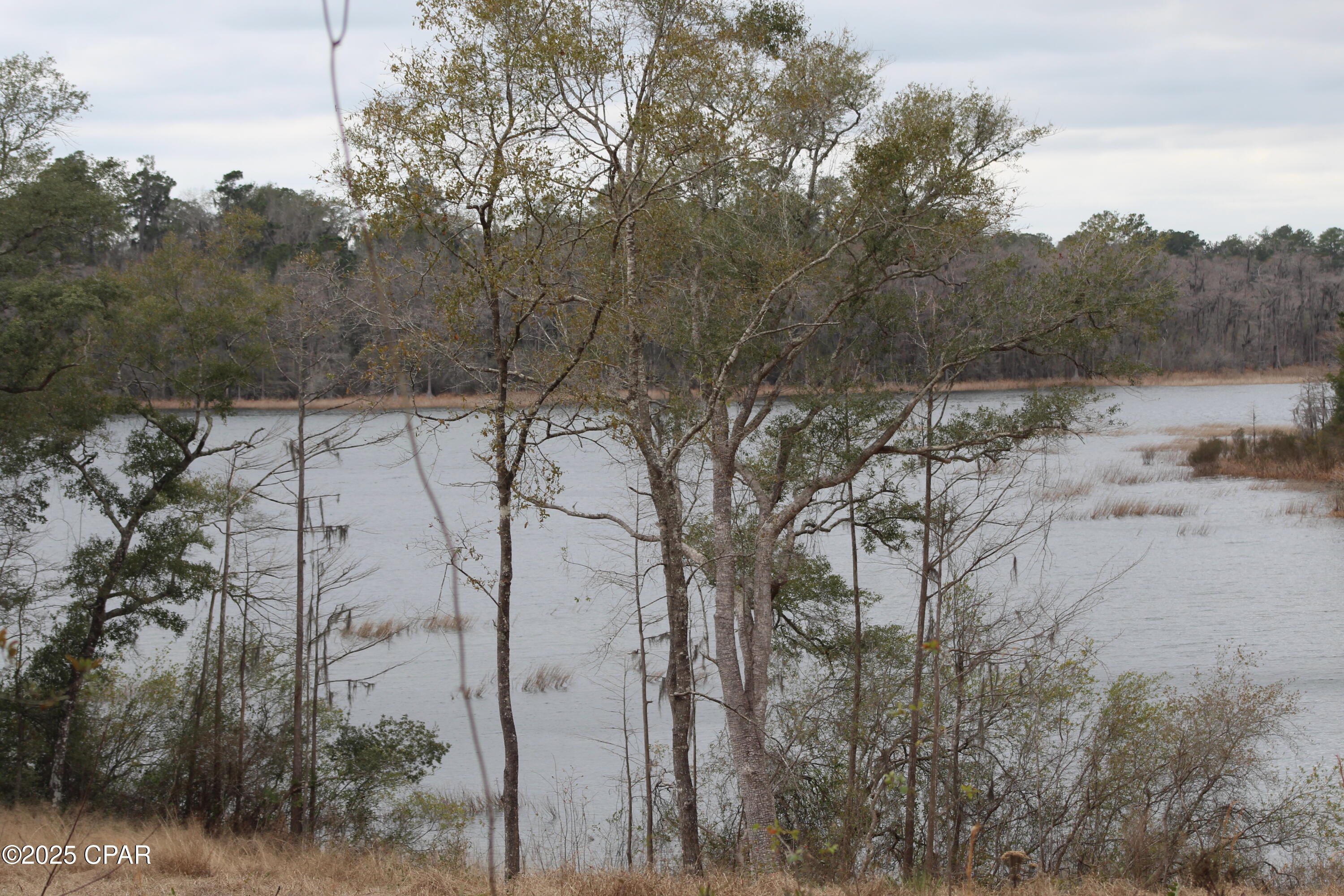Image 8 For Lot 16 Bent Oaks Road