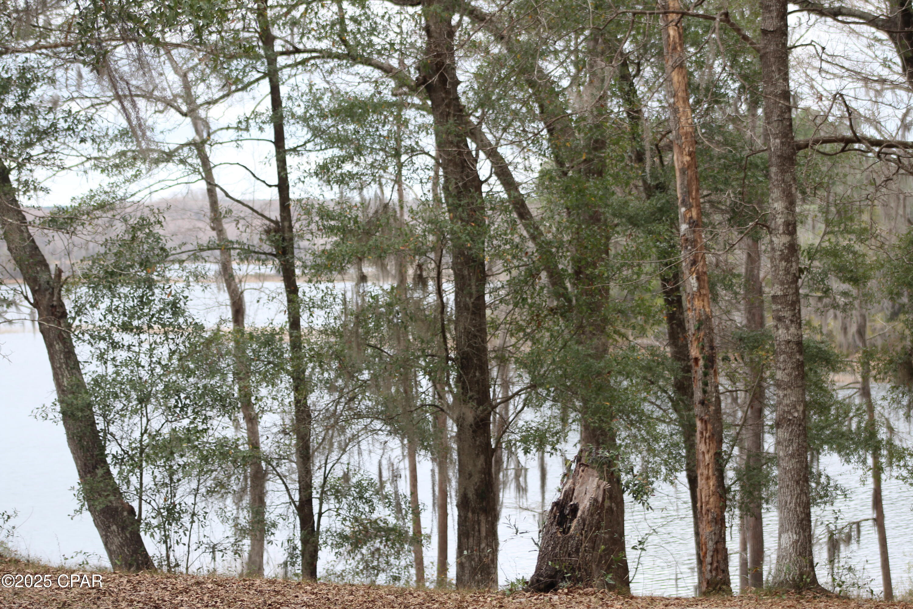 Image 9 For Lot 16 Bent Oaks Road