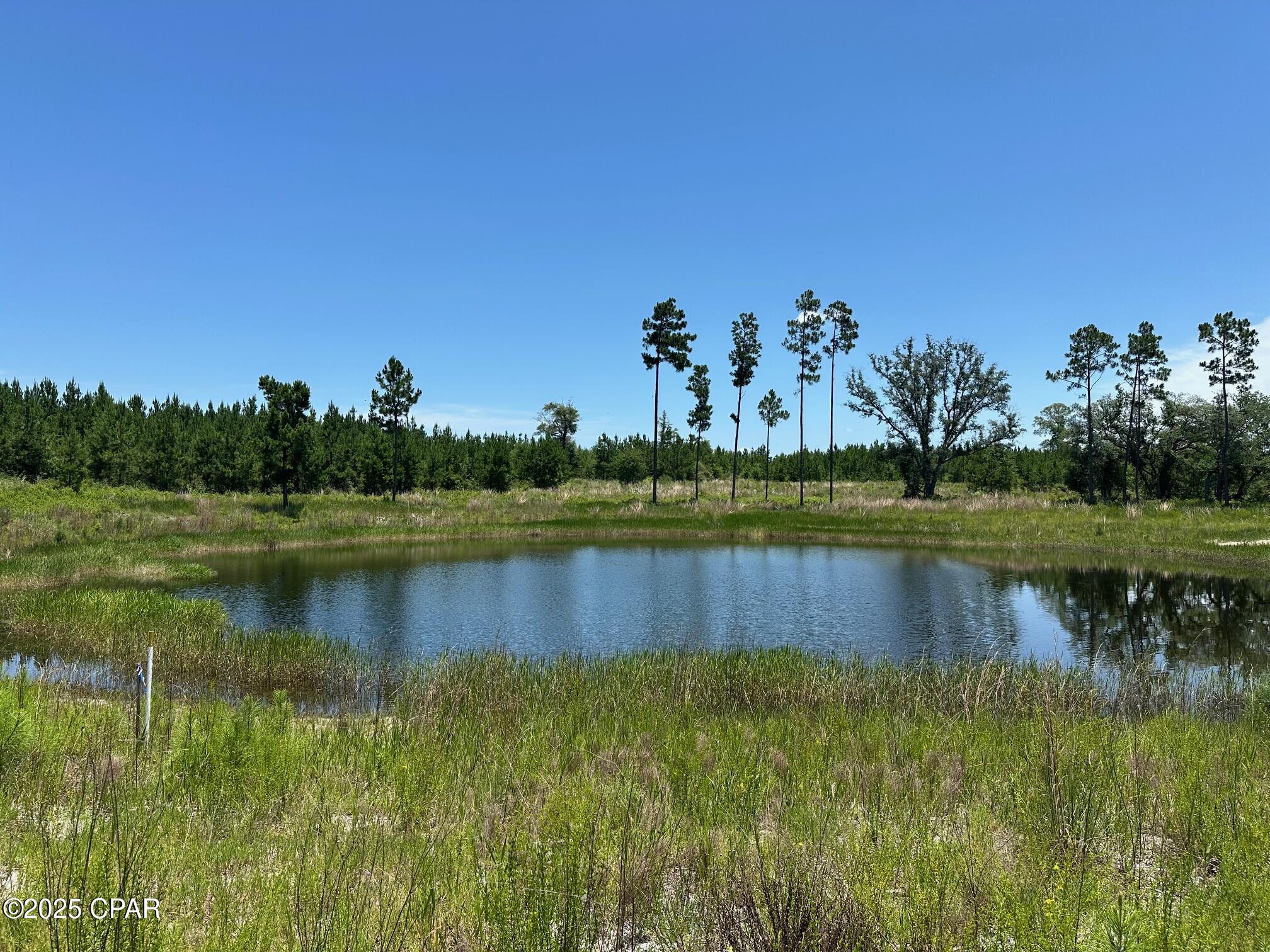 Details for 000 Camp Head Road, Altha, FL 32421