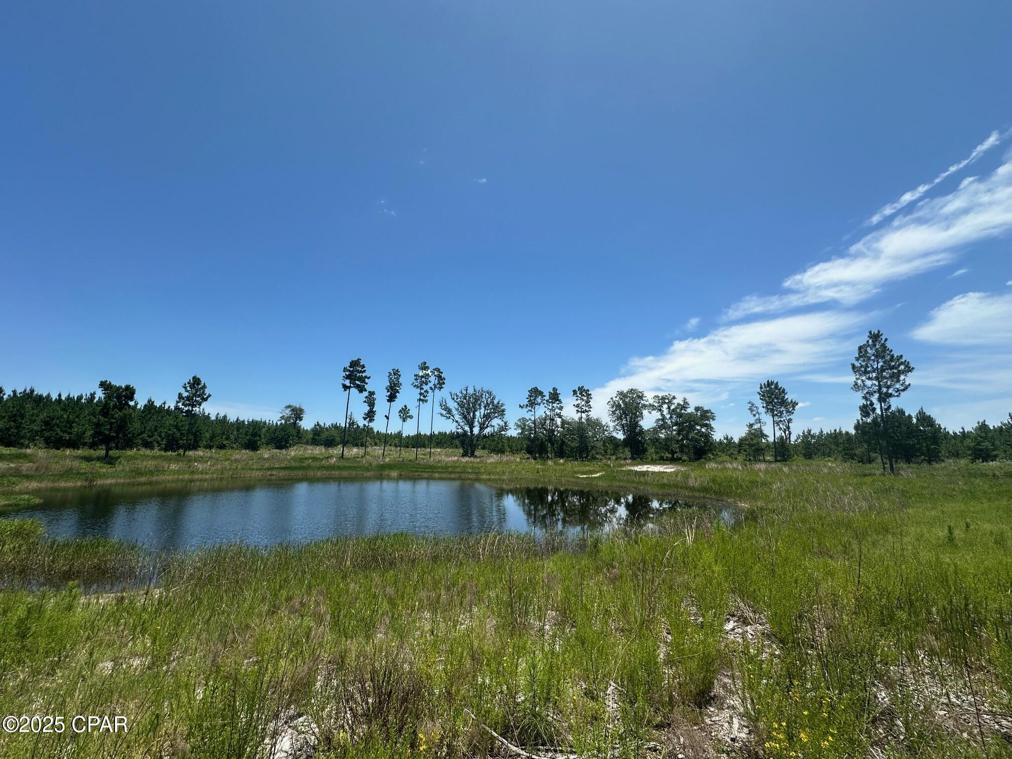 Image 11 For 000 Camp Head Road