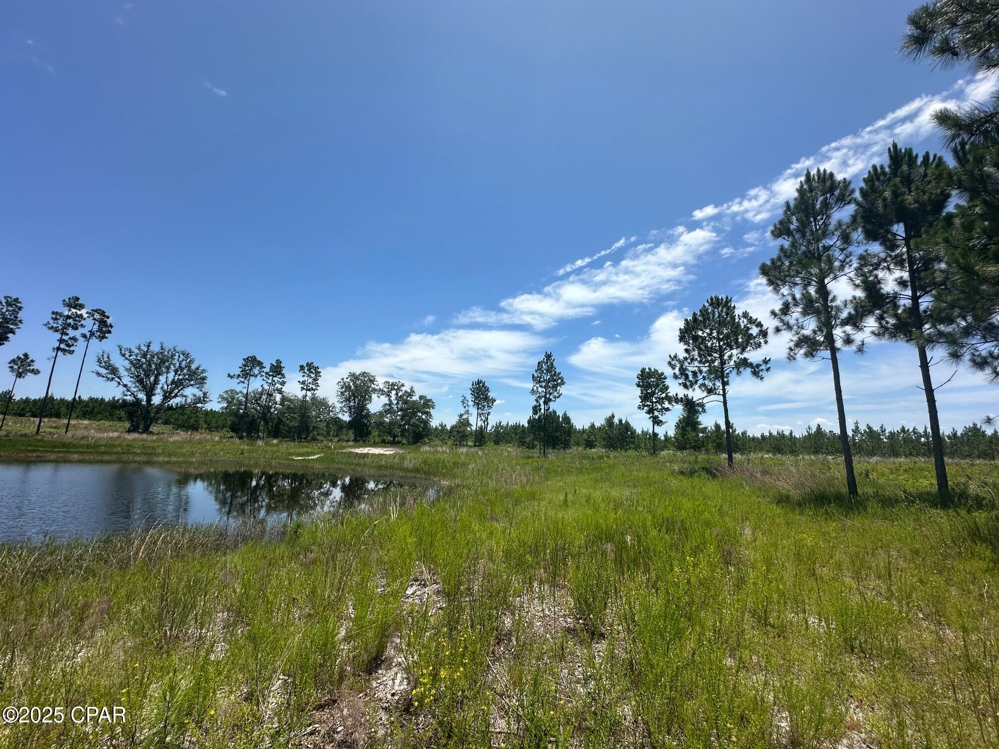 Image 12 For 000 Camp Head Road