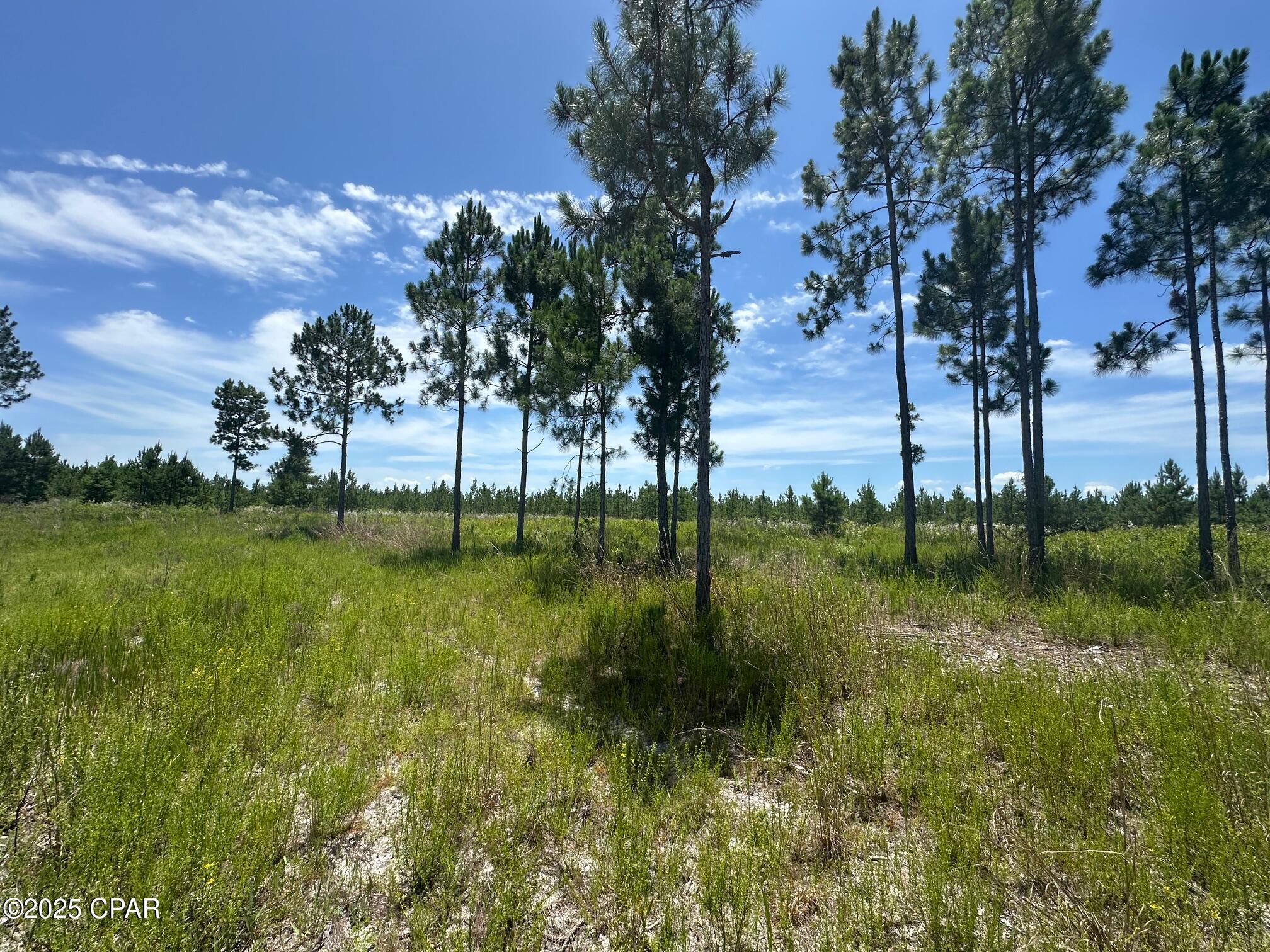 Image 13 For 000 Camp Head Road