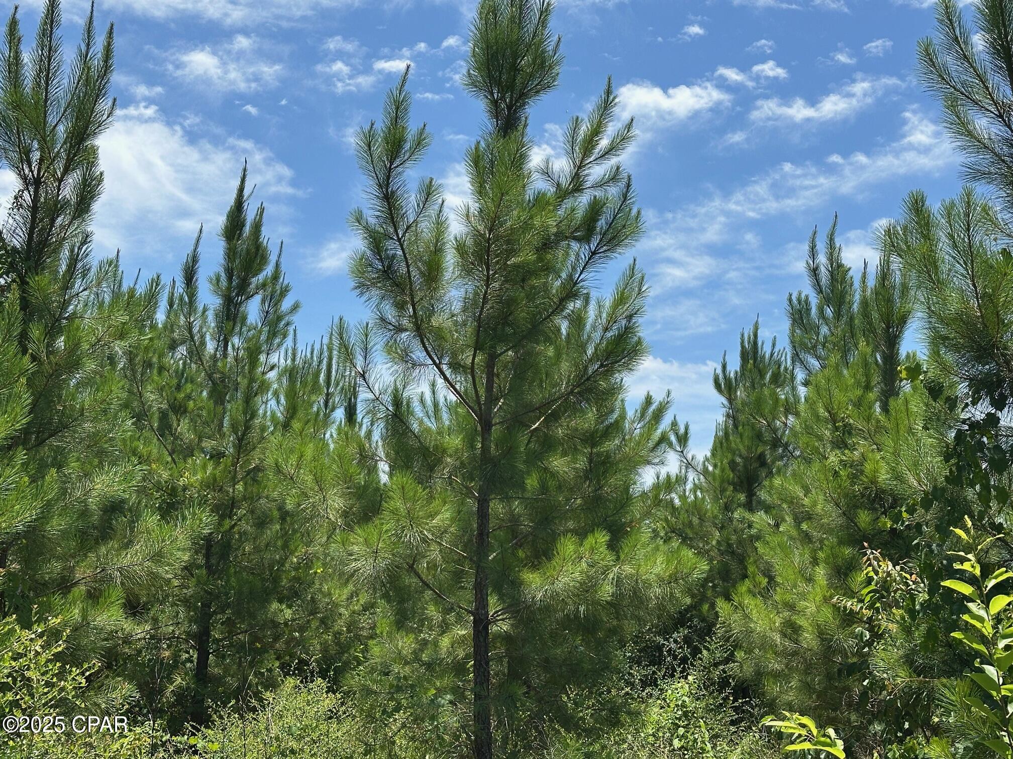 Image 14 For 000 Camp Head Road