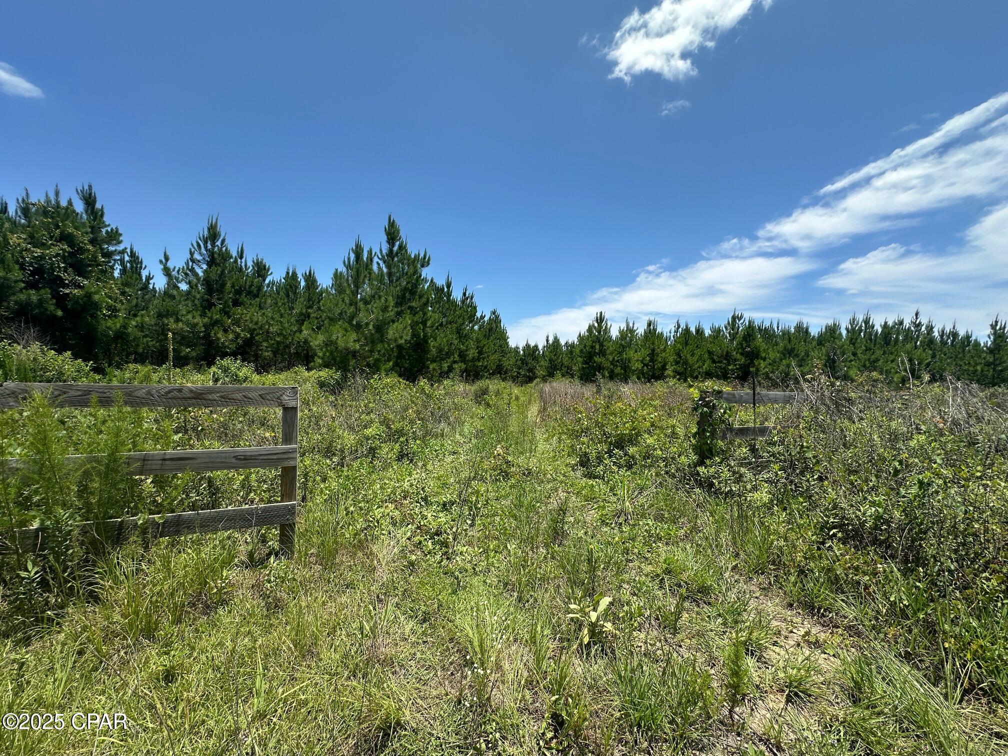 Image 2 For 000 Camp Head Road