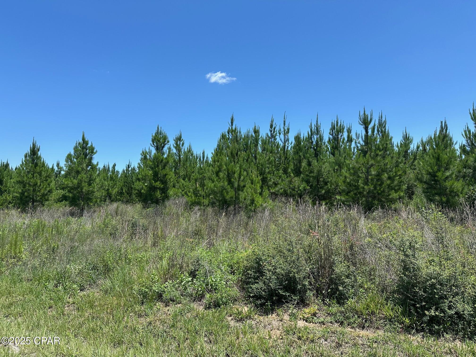 Image 3 For 000 Camp Head Road