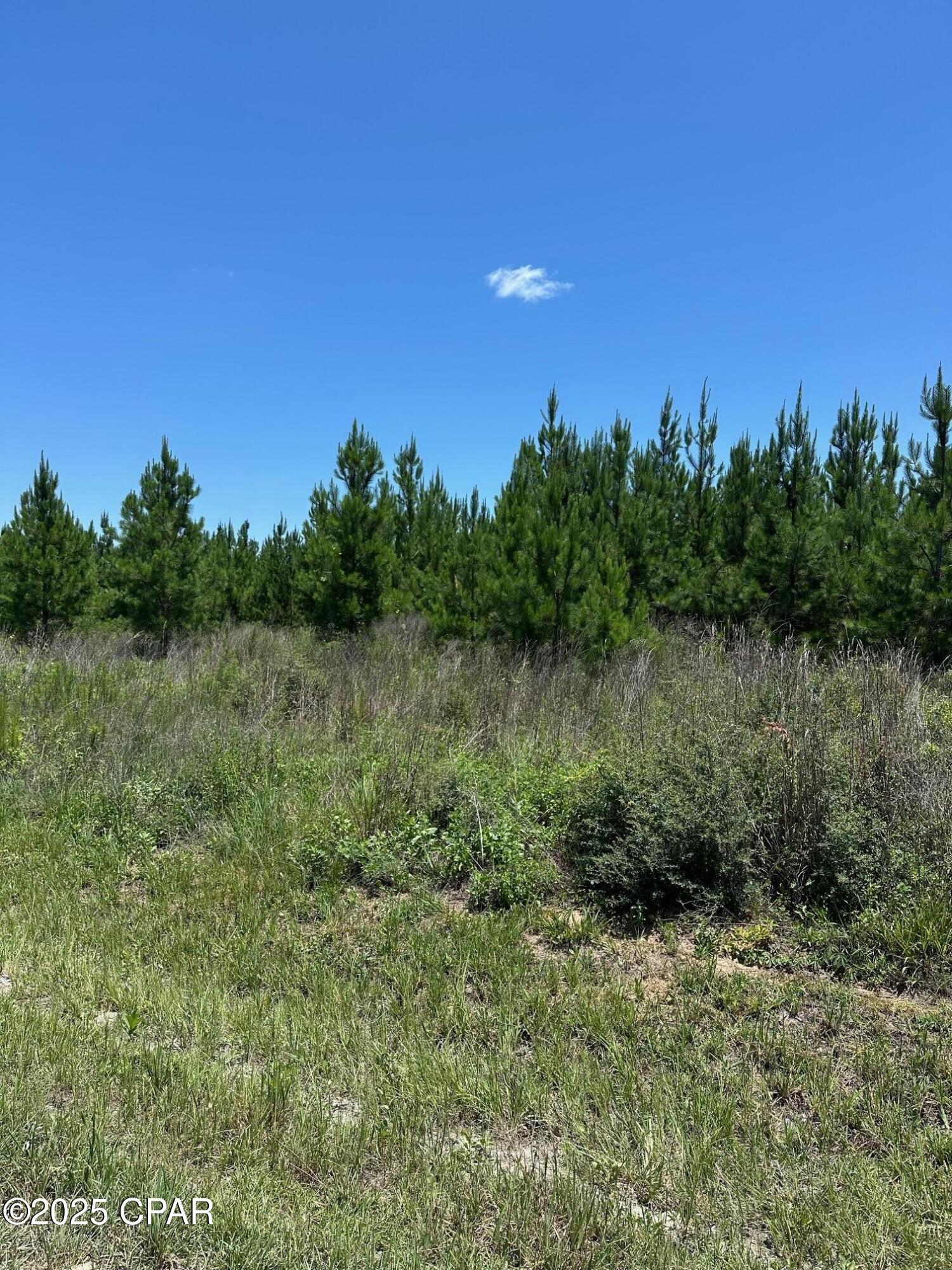 Image 4 For 000 Camp Head Road