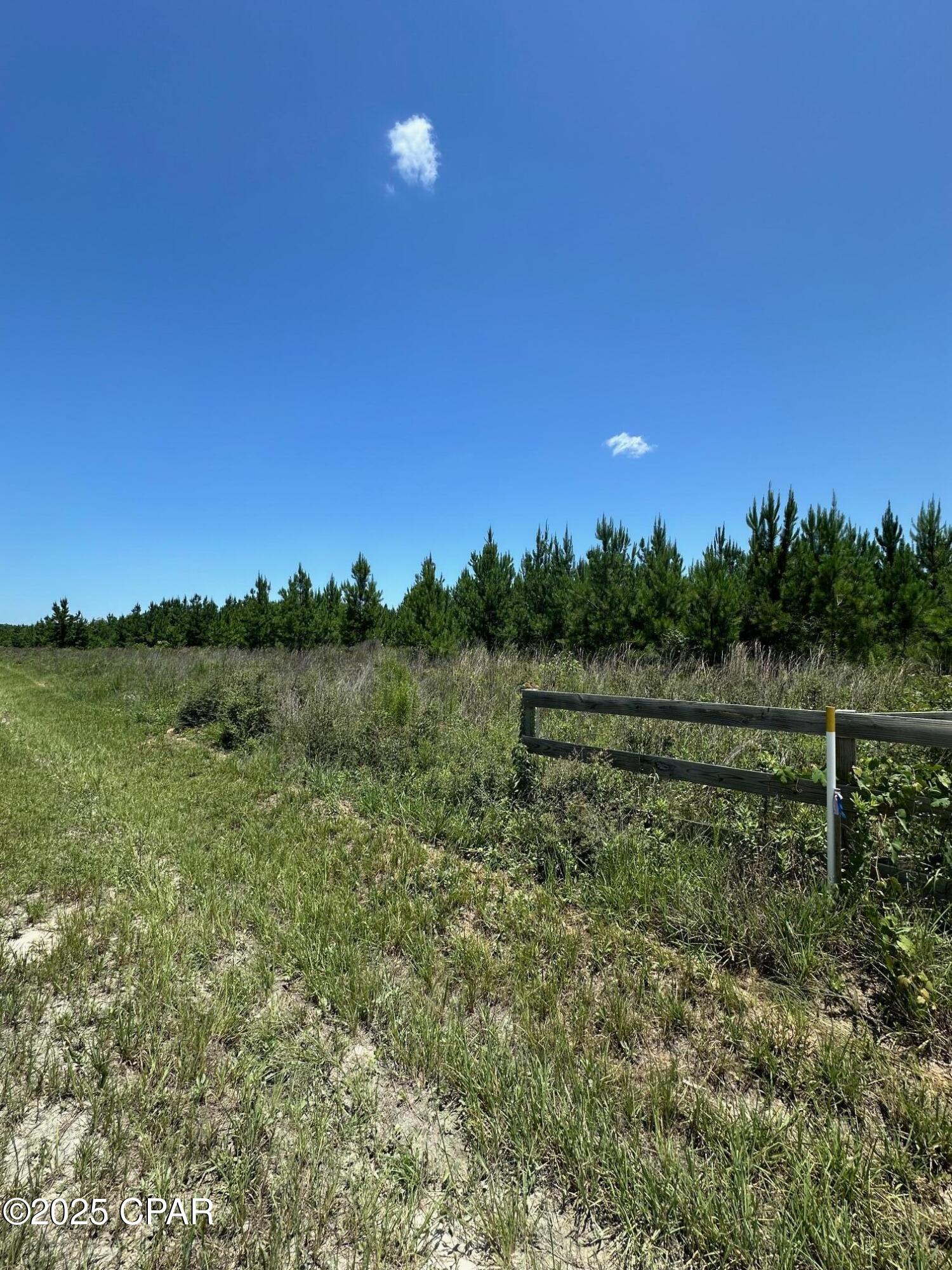 Image 5 For 000 Camp Head Road