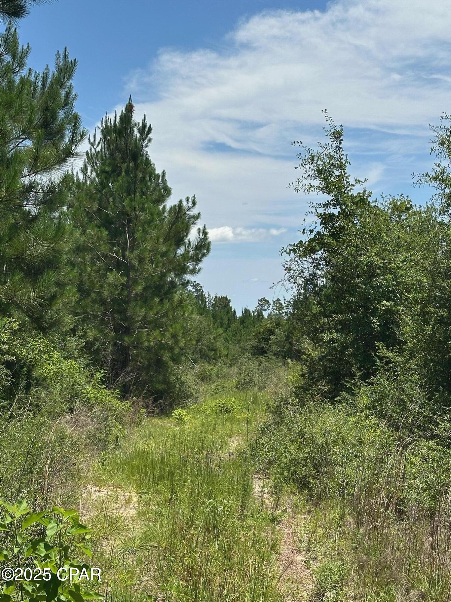 Image 6 For 000 Camp Head Road