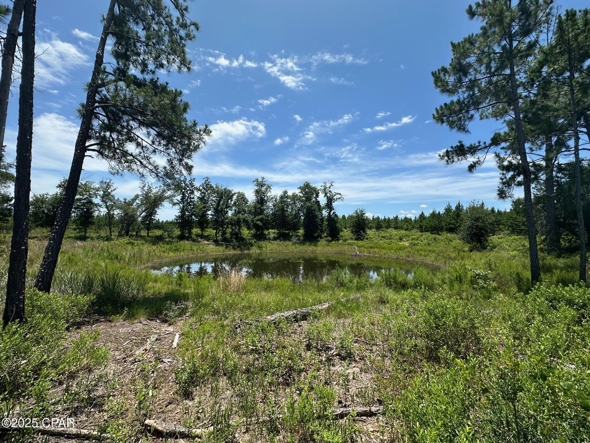 Image 7 For 000 Camp Head Road