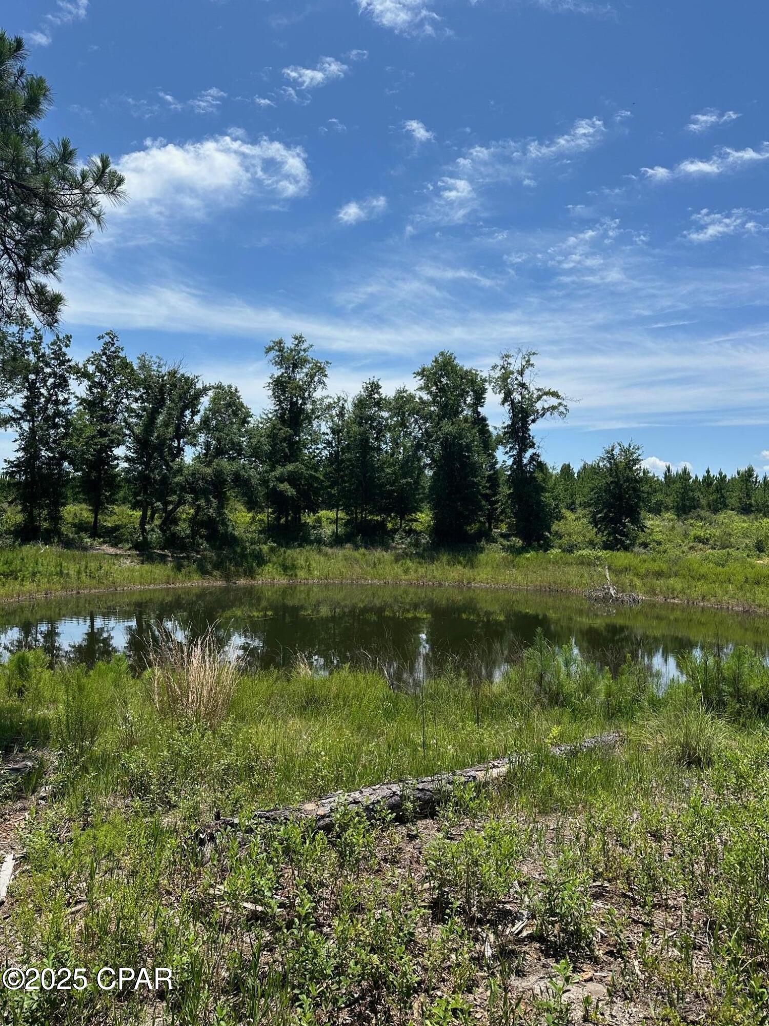 Image 8 For 000 Camp Head Road