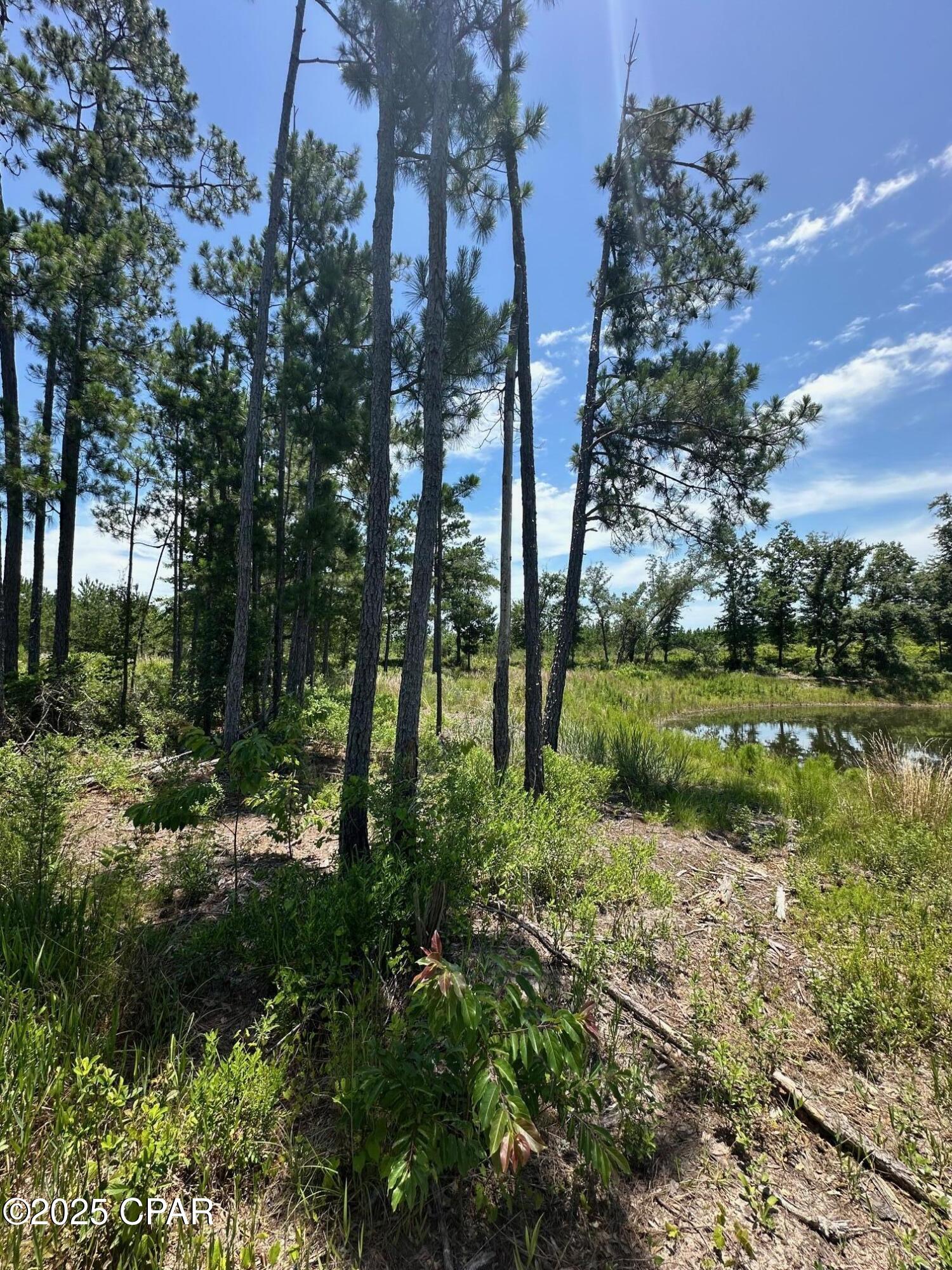 Image 9 For 000 Camp Head Road