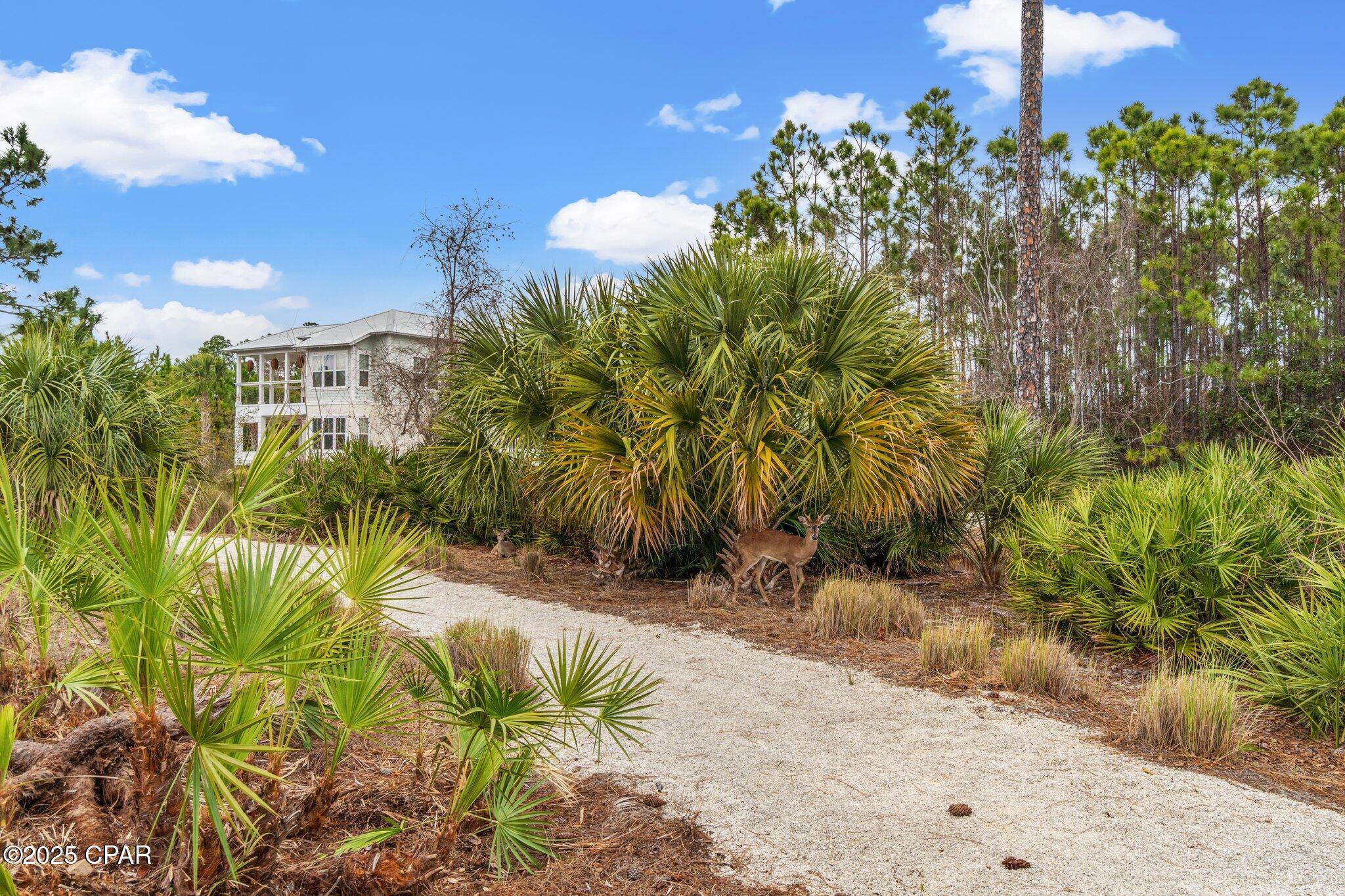 Image 19 For 5247 Kingston Circle