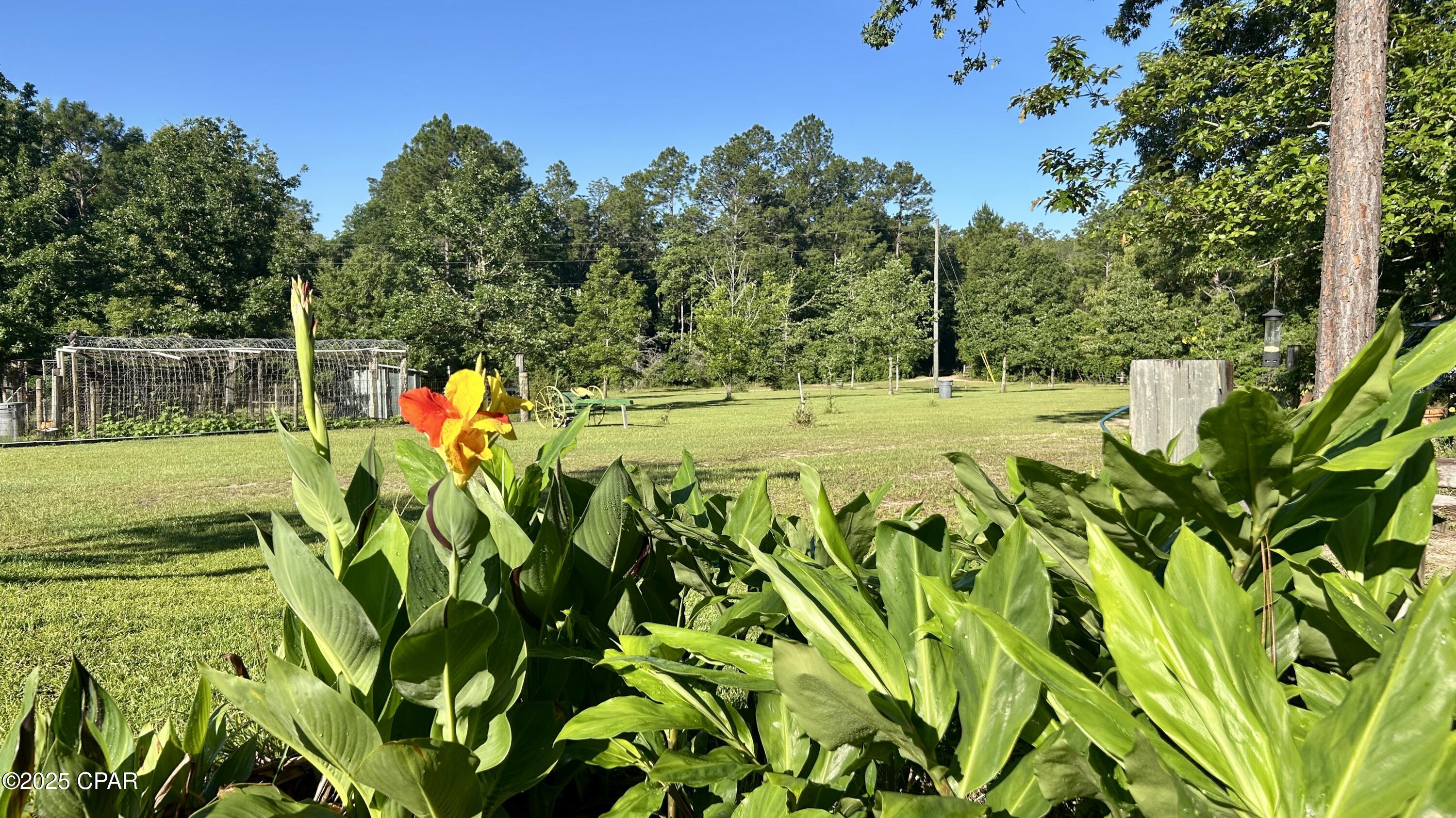 Image 39 For 4264 Cleveland Road