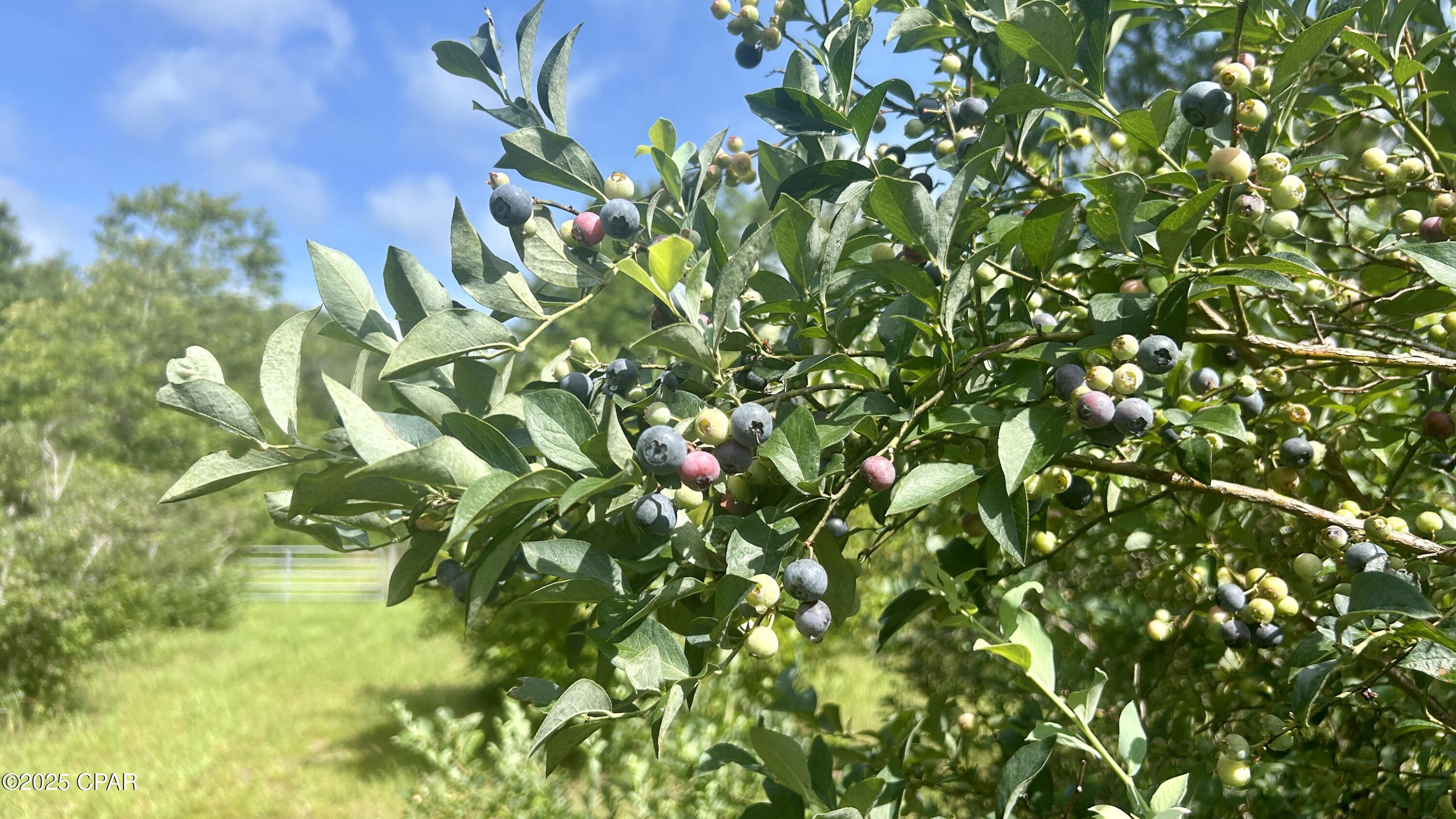 Image 41 For 4264 Cleveland Road