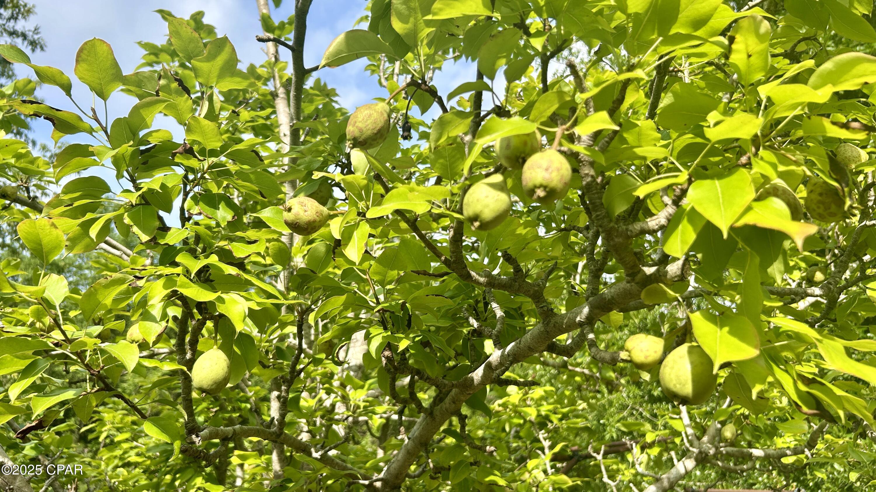 Image 42 For 4264 Cleveland Road