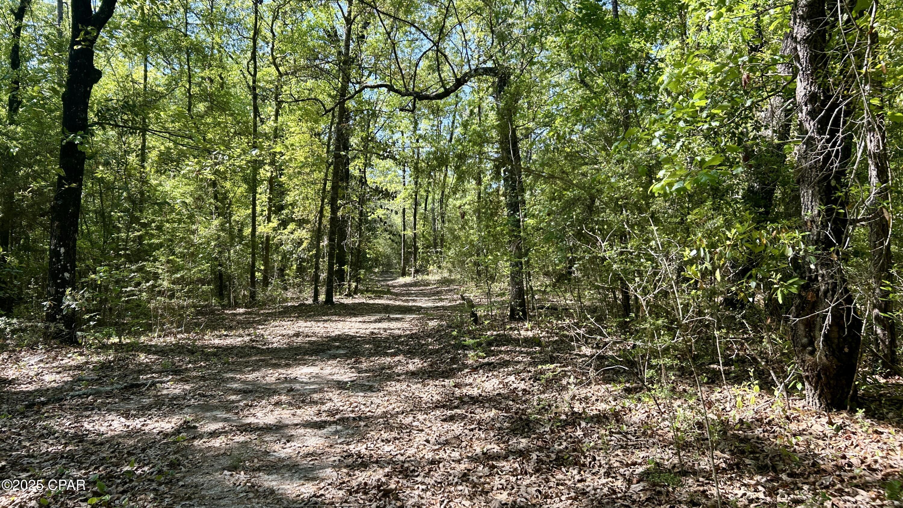 Image 57 For 4264 Cleveland Road