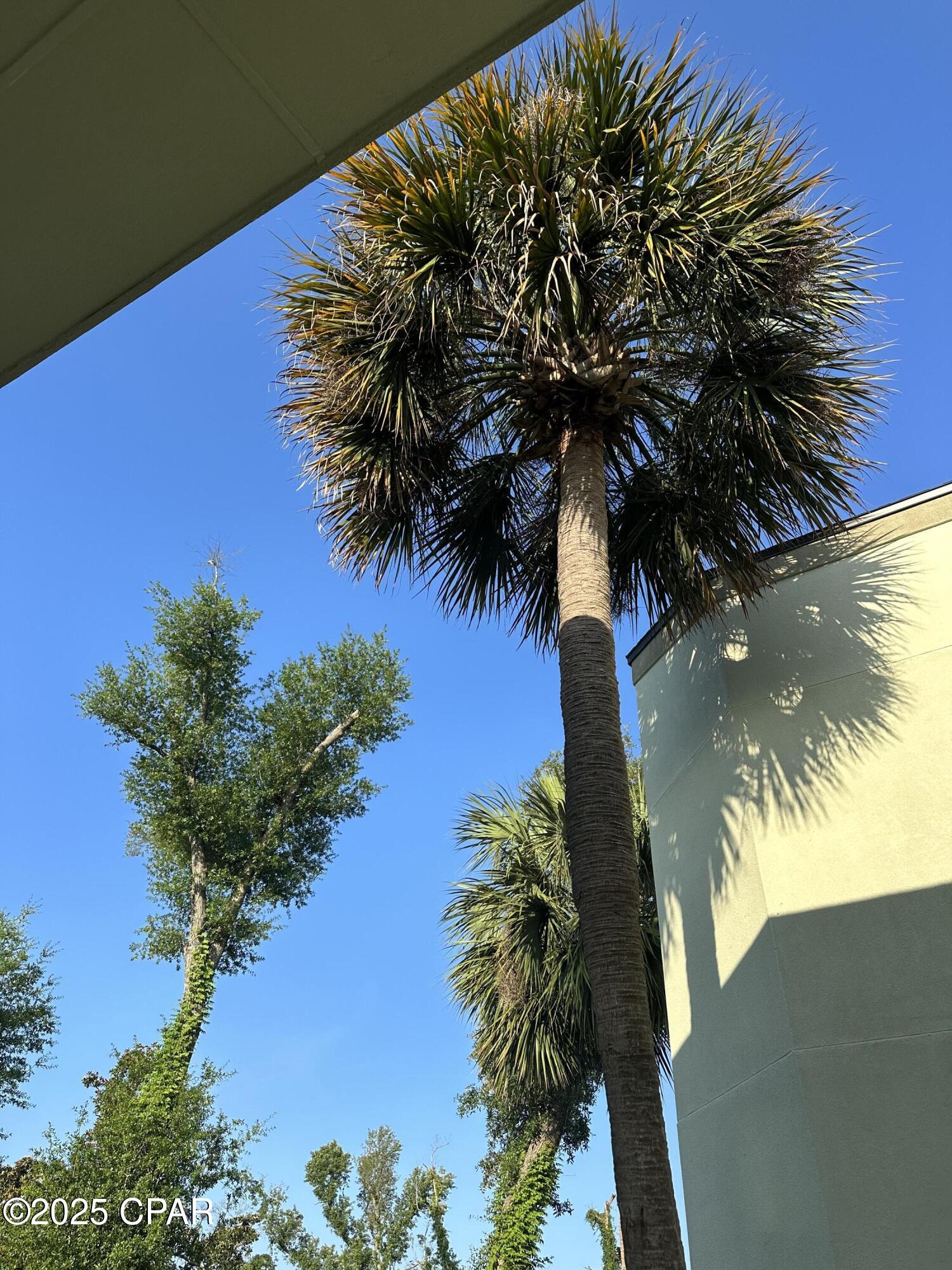 Image 42 For 818 Radcliff Avenue