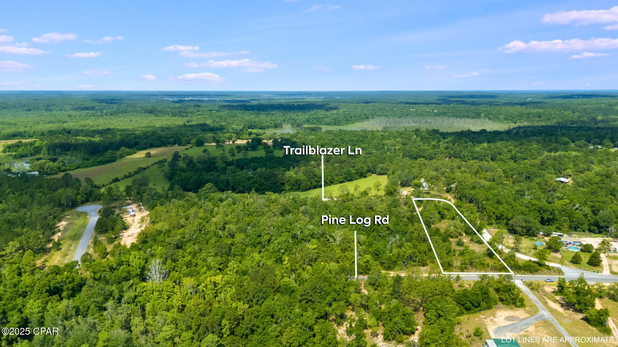 Image 3 For 2493 Trailblazer Lane