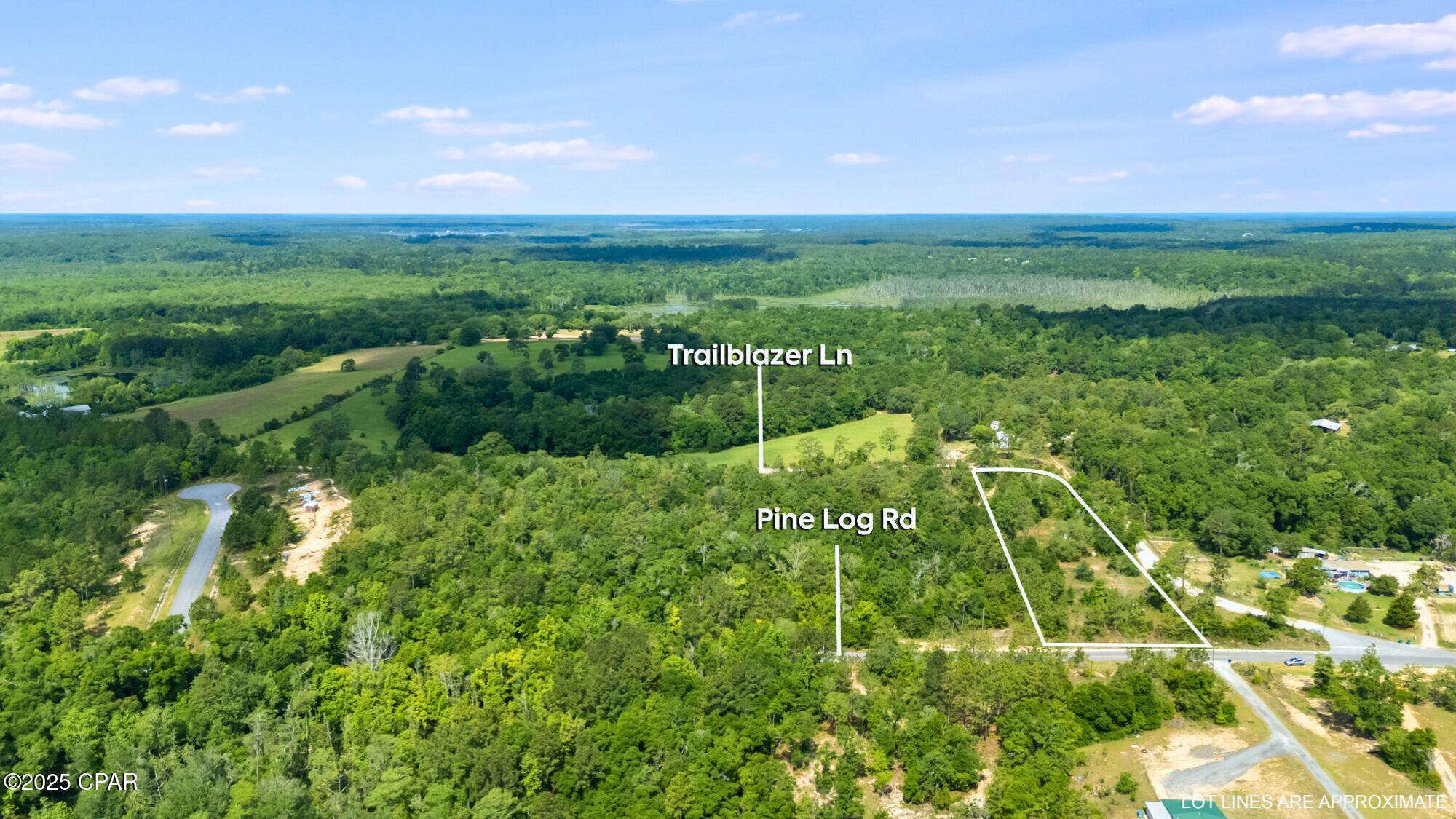 Image 5 For 2493 Trailblazer Lane