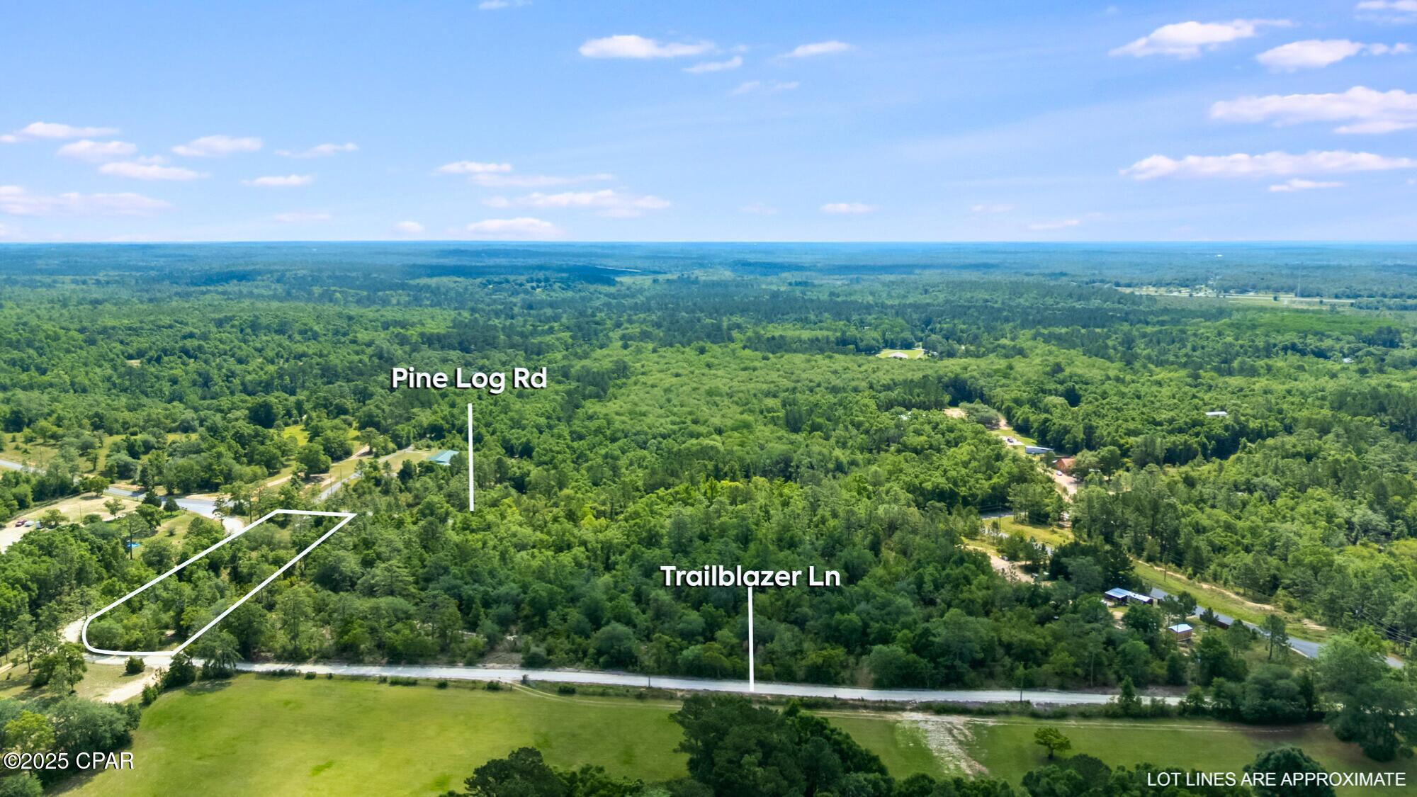 Image 6 For 2493 Trailblazer Lane