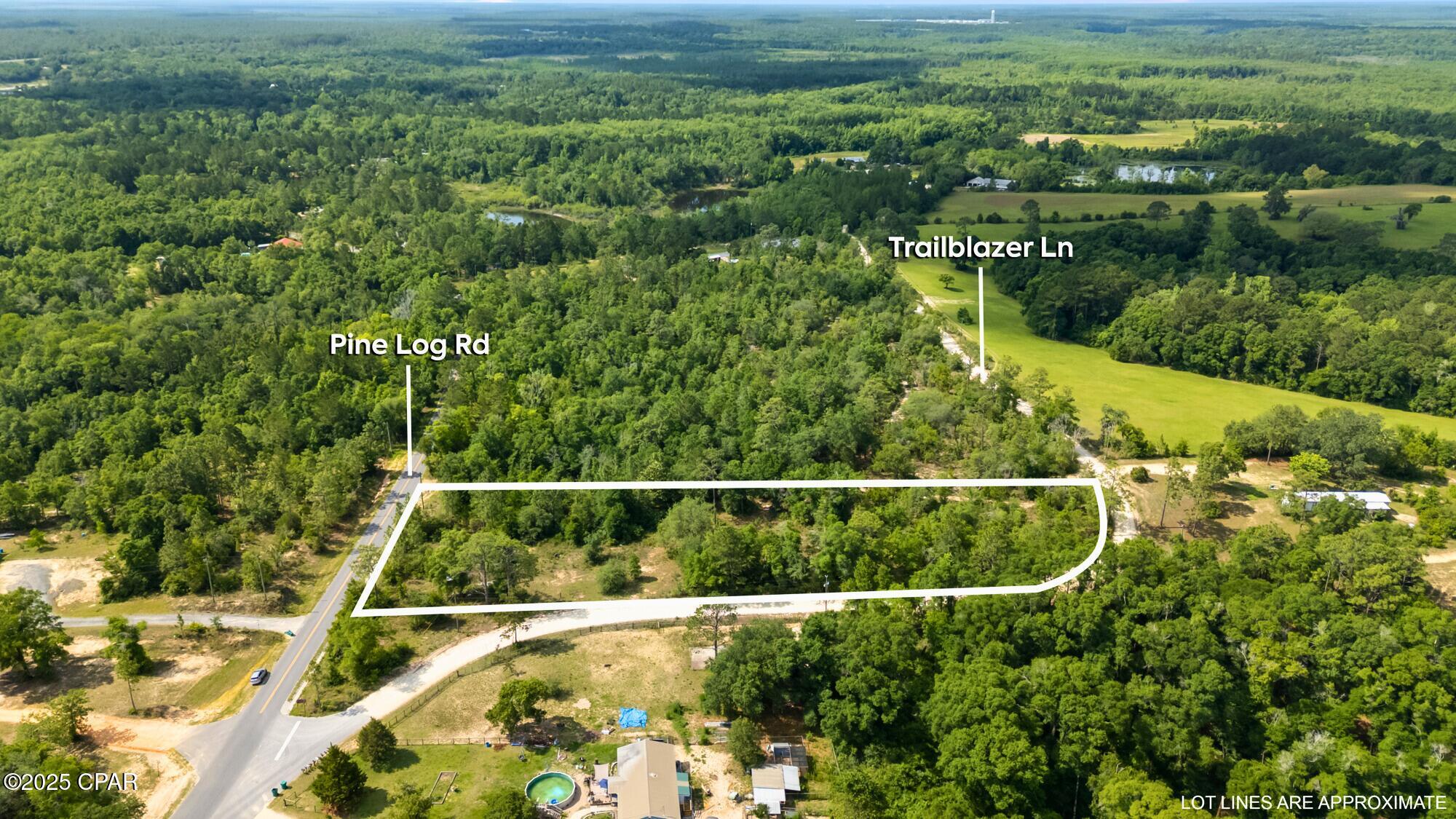 Image 9 For 2493 Trailblazer Lane