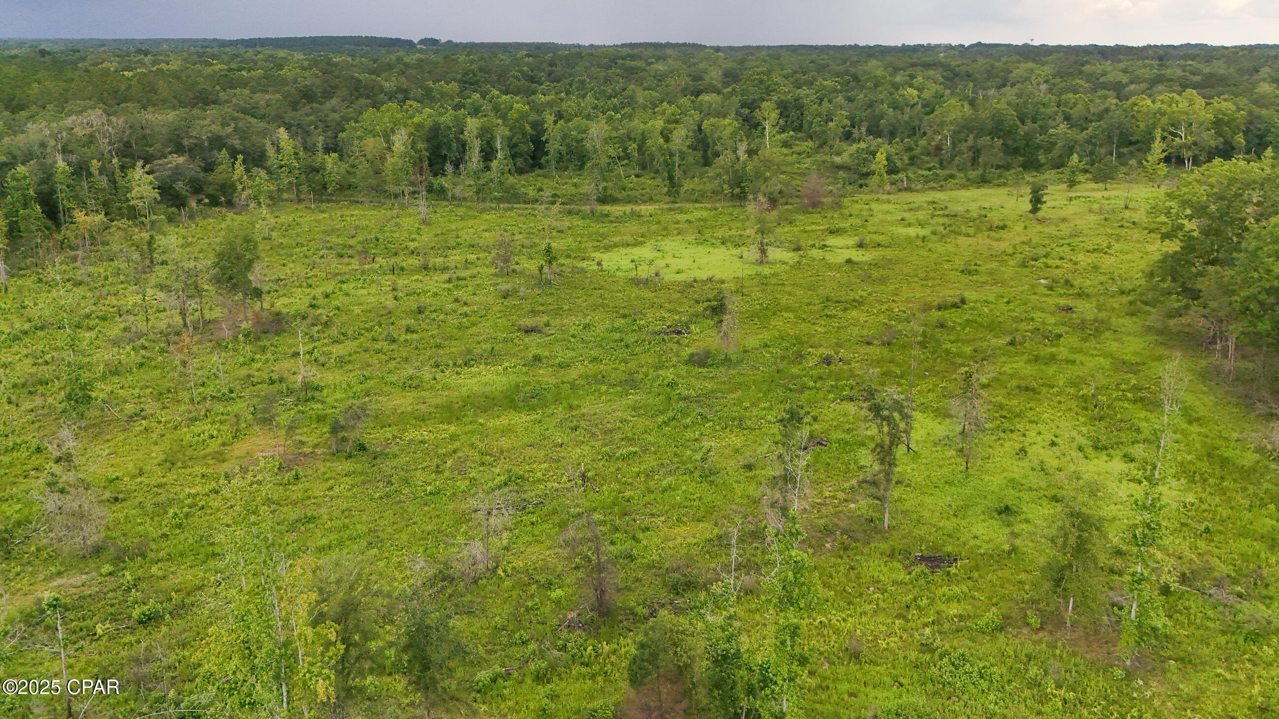 Image 11 For 0 Bush Road 