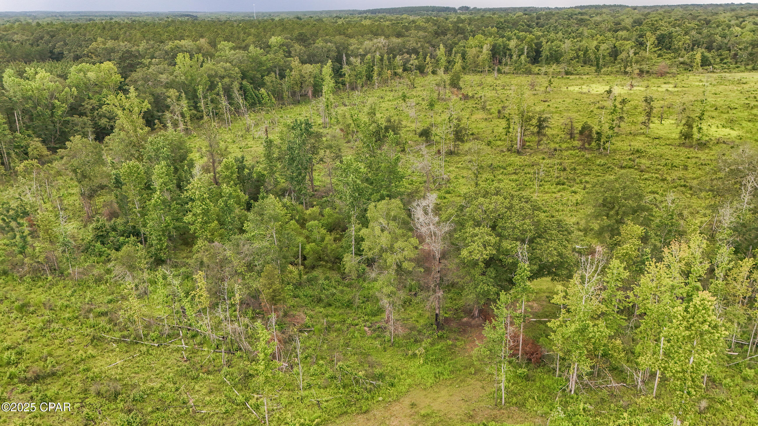 Image 9 For 0 Bush Road 