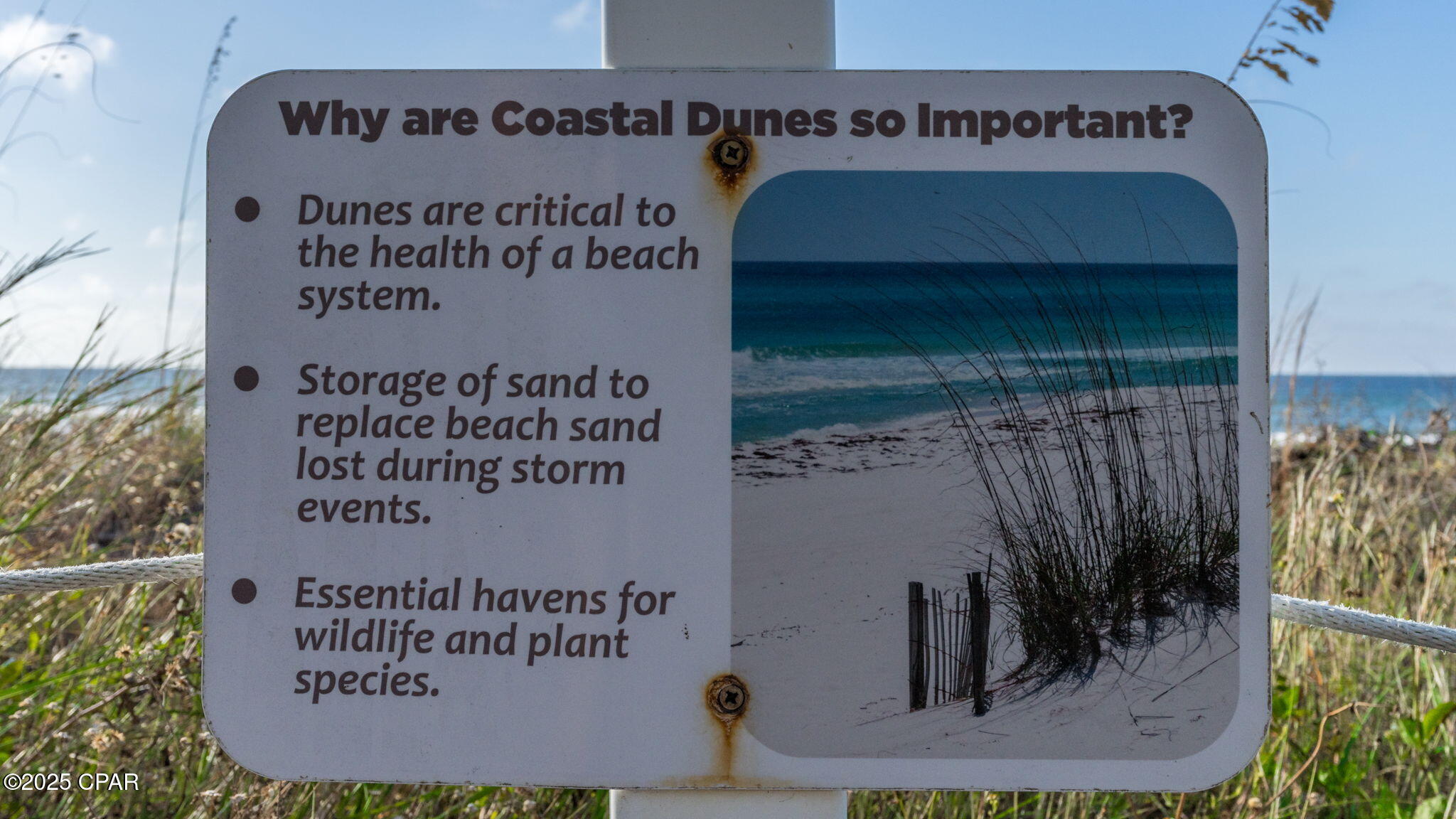 Image 31 For 11807 Front Beach Road 1407