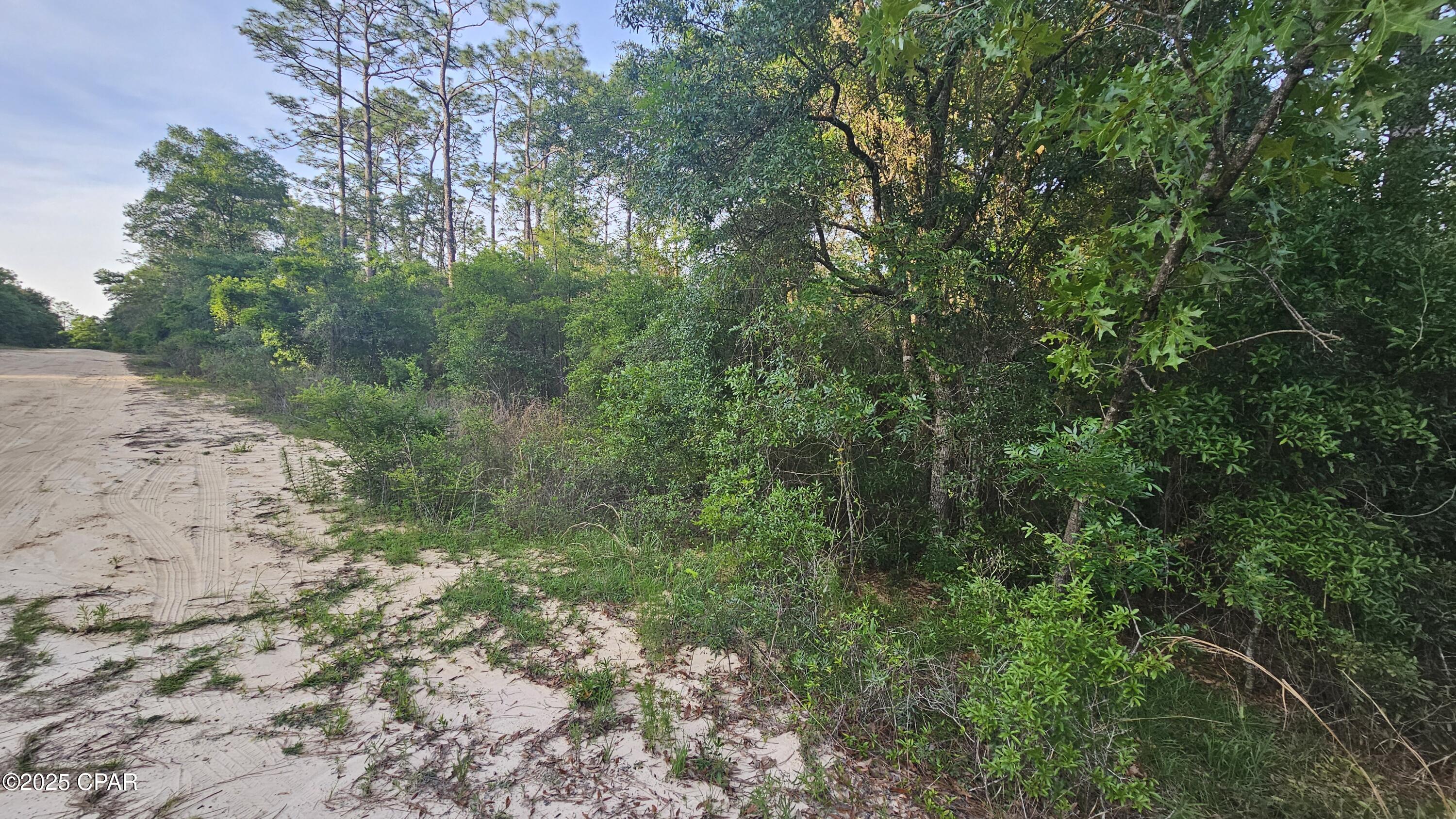 Image 6 For Lots 21-22 Dunford Circle