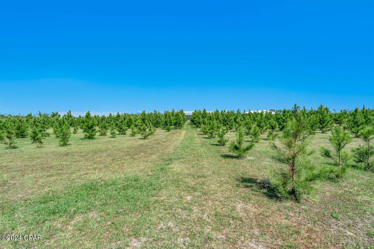 Image 38 For 4622 Cherokee Heights Road