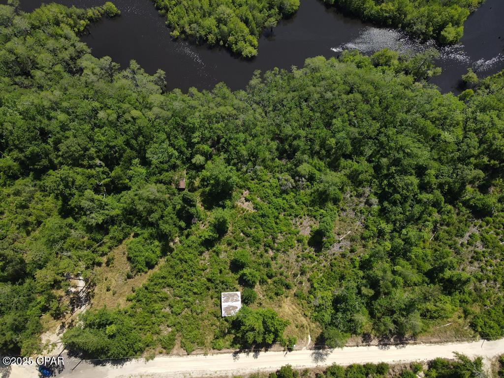 Homes for sale in Wewahitchka, FL | 000 Cypress Ct, Wewahitchka, FL 32465 | MLS# 775519