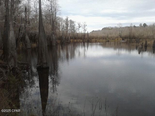 Image 8 For 000 Cypress Court