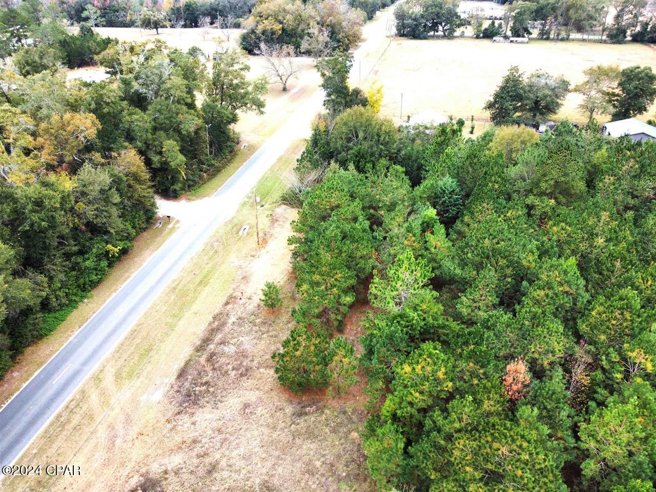 Homes for sale in Bristol, FL | Xxx Freeman Rd, Bristol, FL 32321 | MLS# 766012