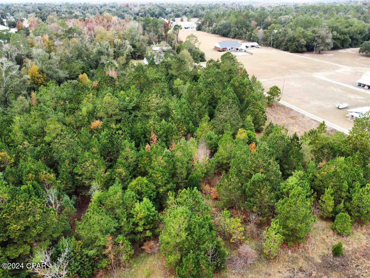 Homes for sale in Bristol, FL | Xxx Freeman Rd, Bristol, FL 32321 | MLS# 766012