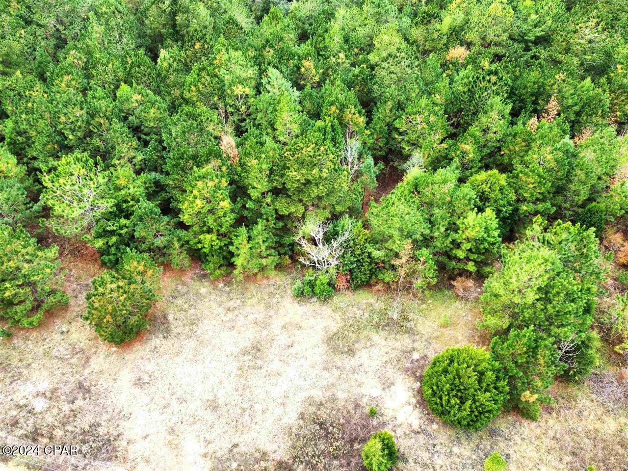 Homes for sale in Bristol, FL | Xxx Freeman Rd, Bristol, FL 32321 | MLS# 766012