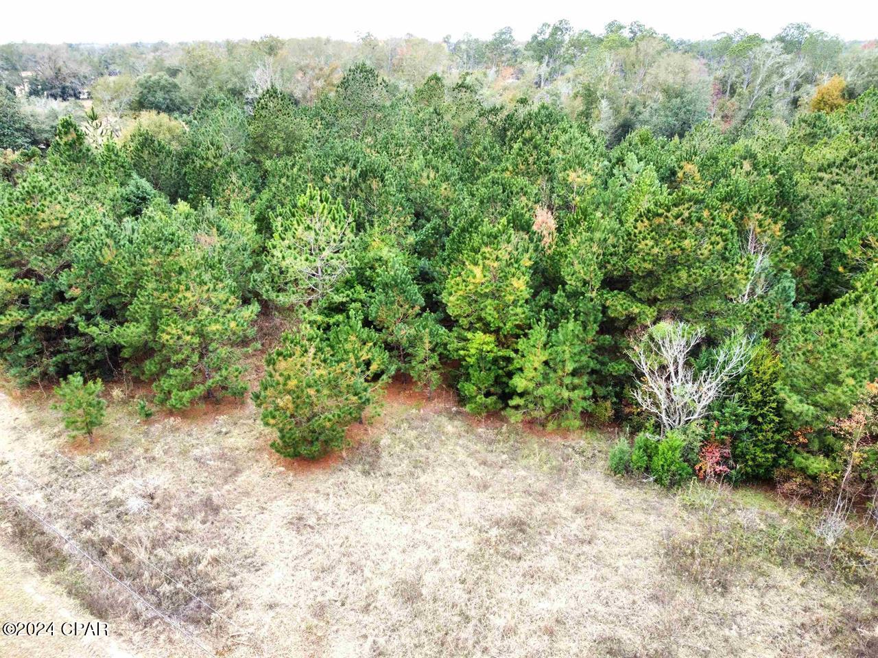 Homes for sale in Bristol, FL | Xxx Freeman Rd, Bristol, FL 32321 | MLS# 766012