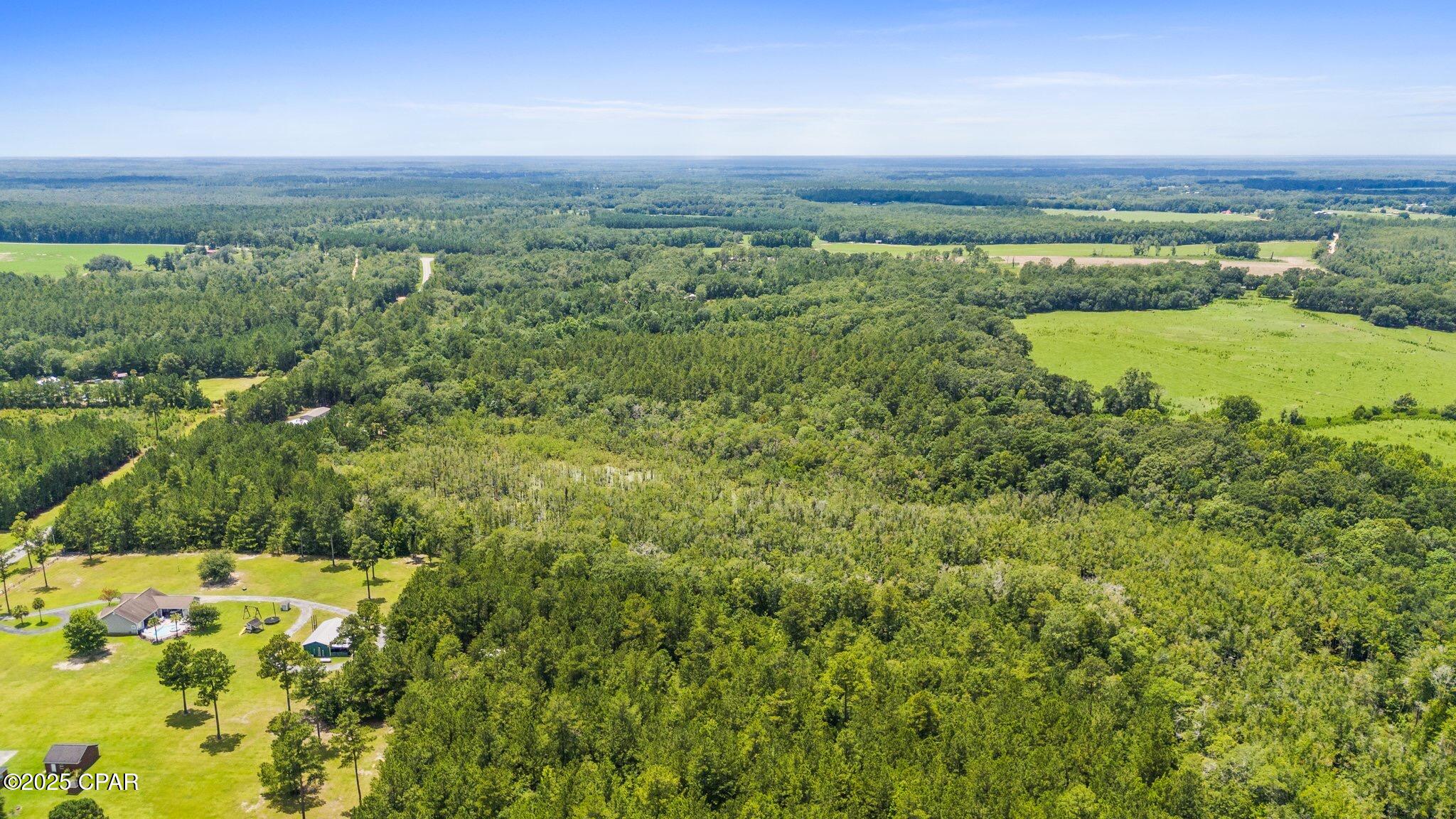 Homes for sale in Bonifay, FL | Xx Hwy 162, Bonifay, FL 32425 | MLS# 775786