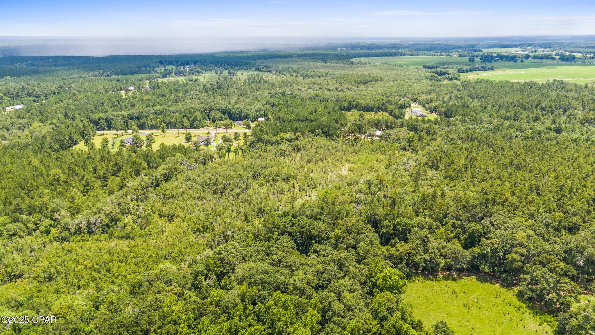 Homes for sale in Bonifay, FL | Xx Hwy 162, Bonifay, FL 32425 | MLS# 775786