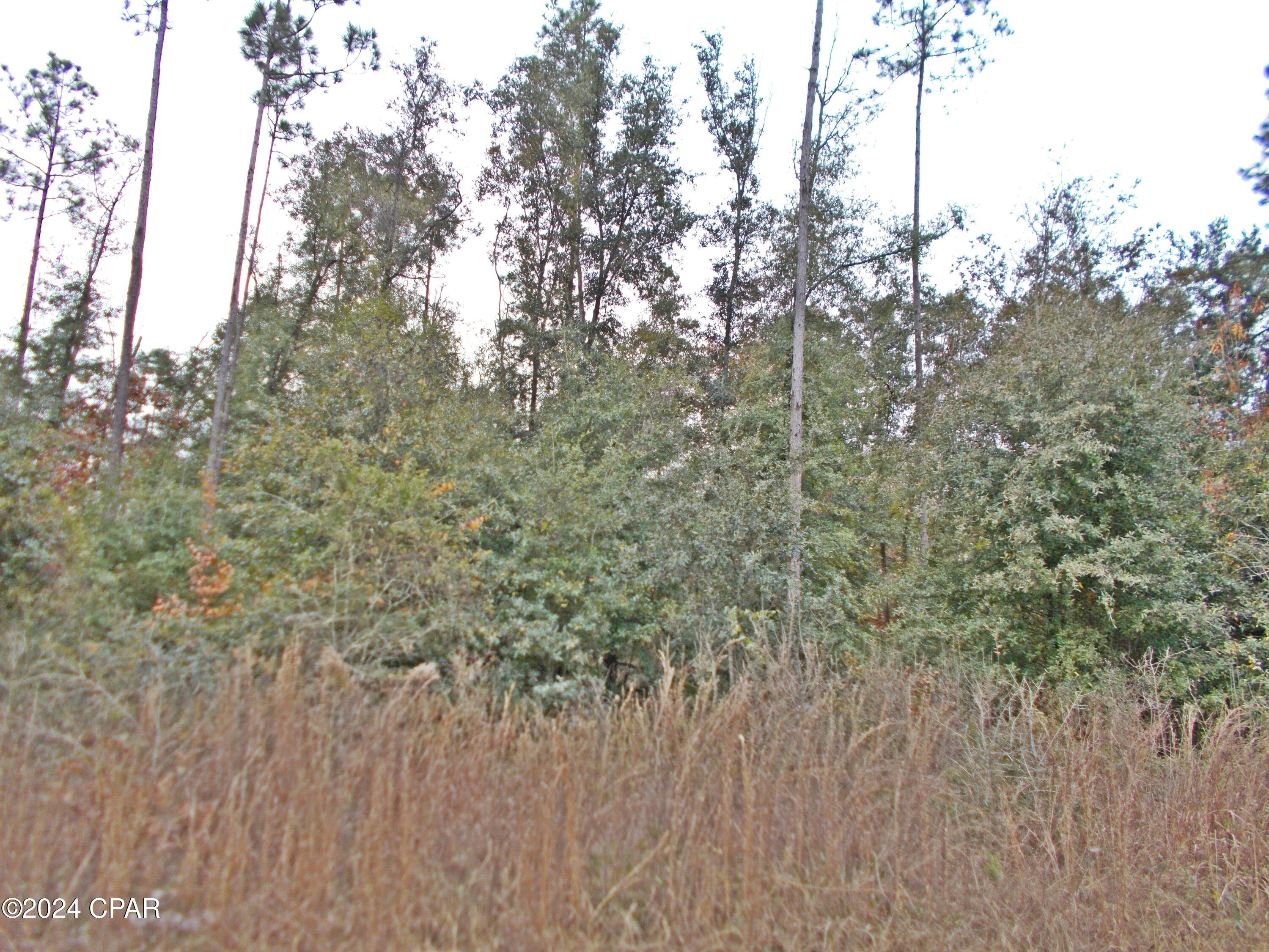 Image 2 For 00 Green Road