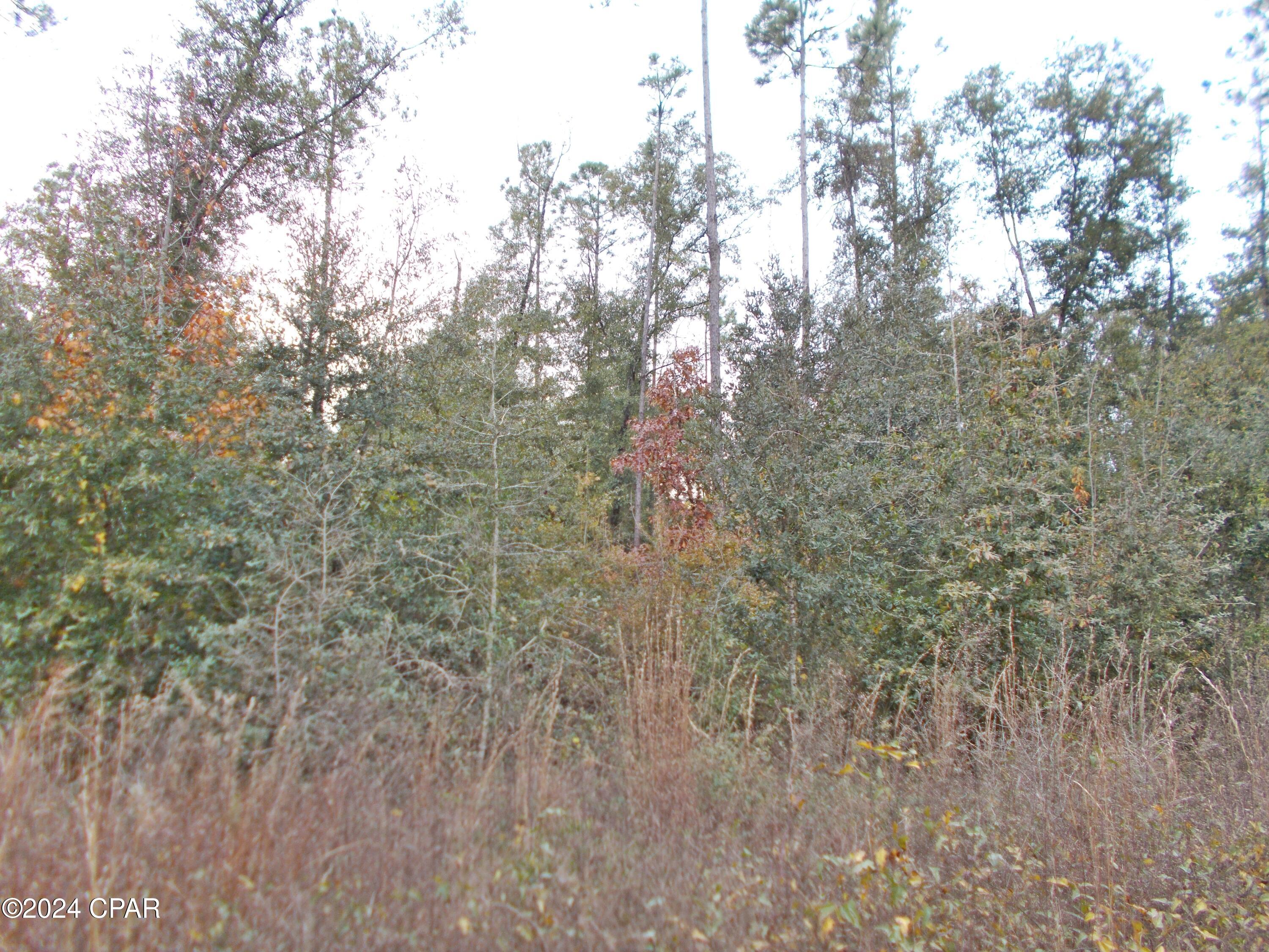 Image 3 For 00 Green Road