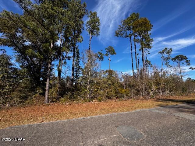 Image 3 For Lot 7 Blk 204 Vancouver Drive