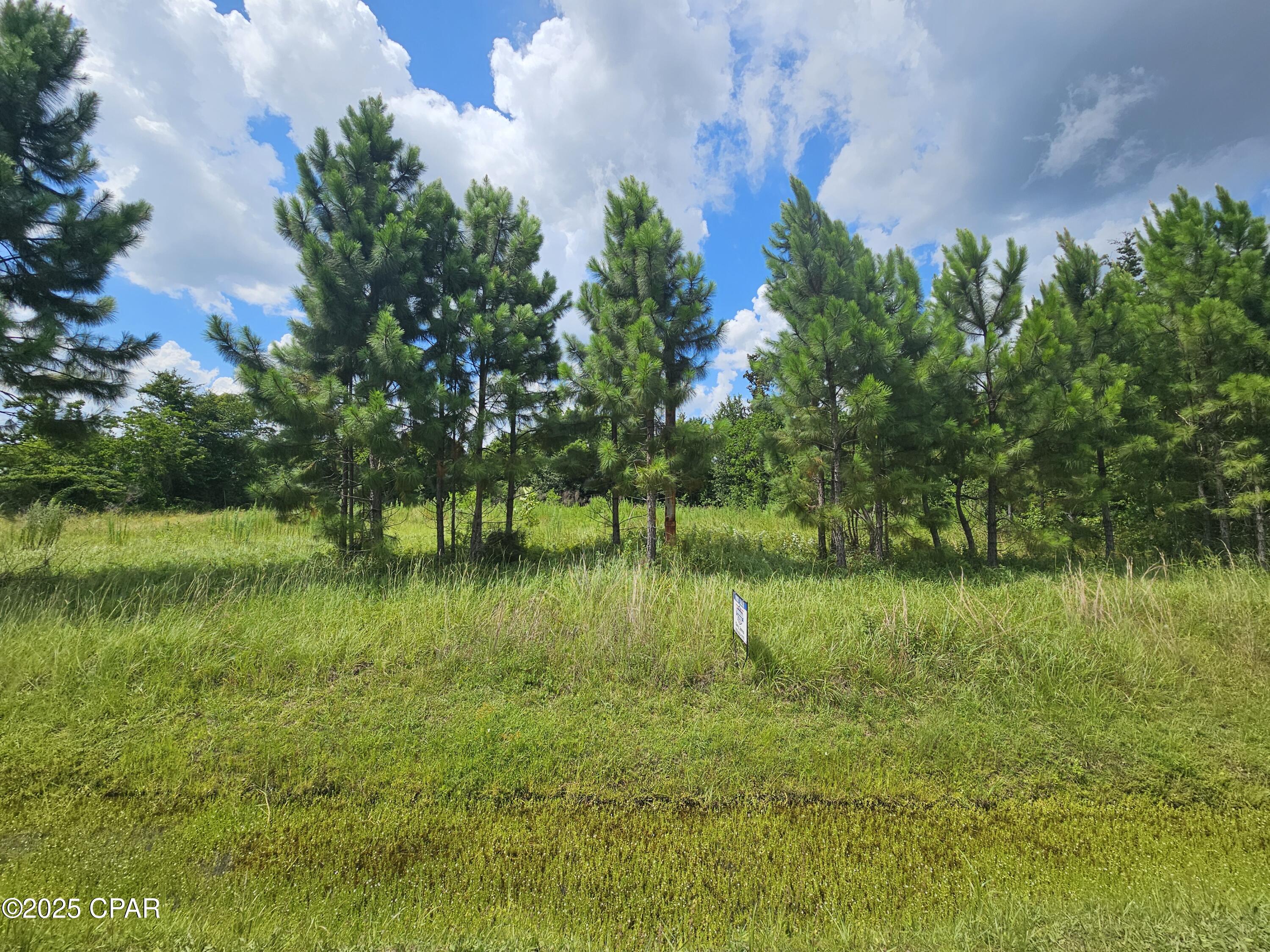 Image 2 For 5209 Boat Race