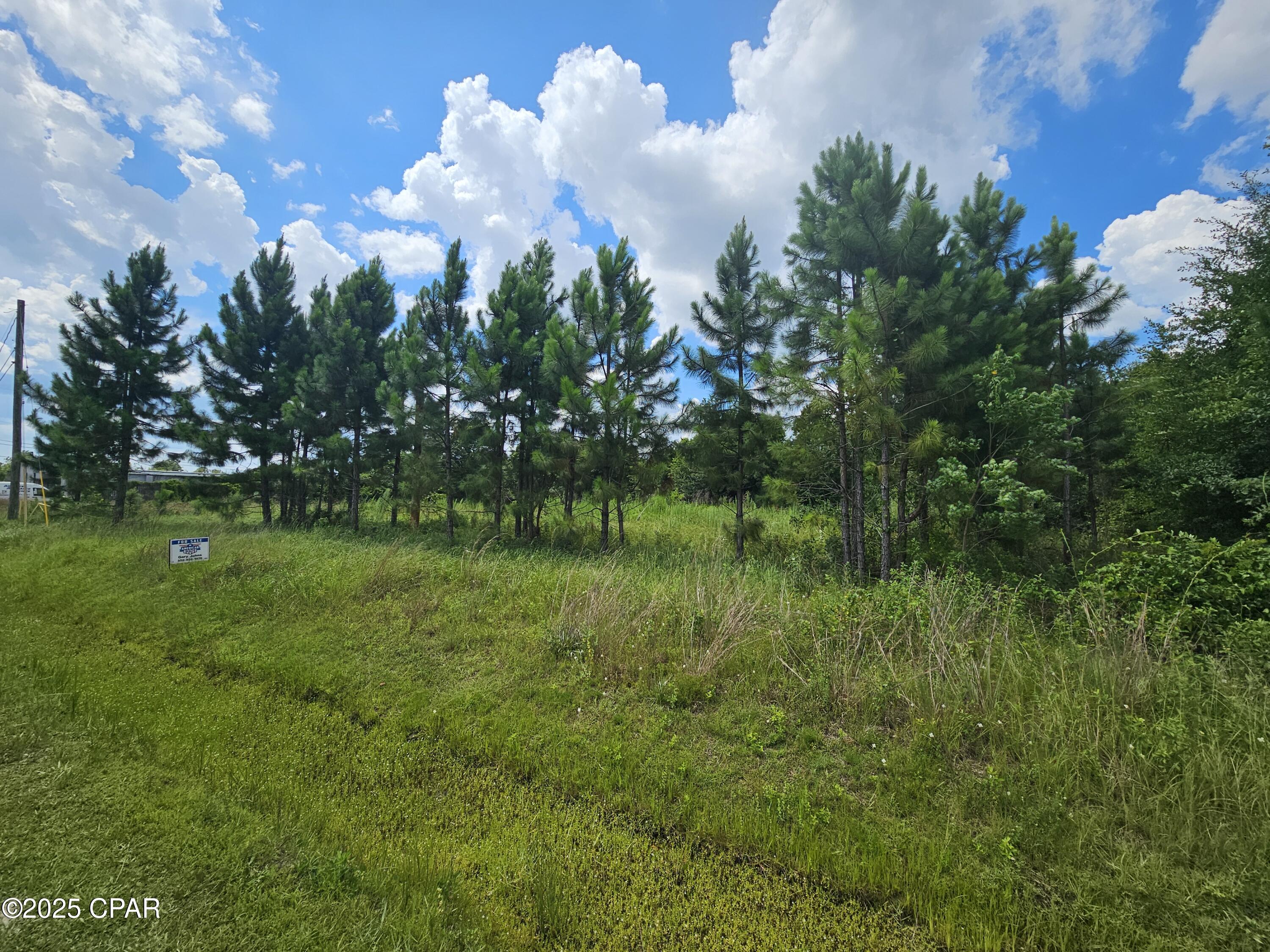 Image 3 For 5209 Boat Race